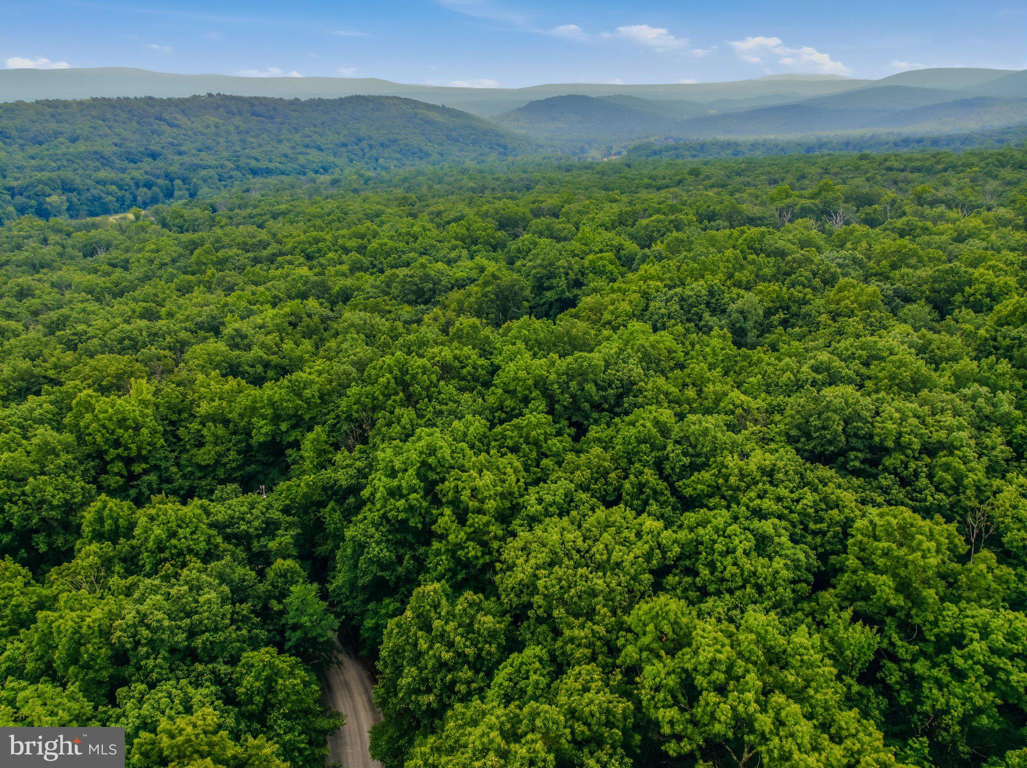 ROCK GAP WOODS - Residential