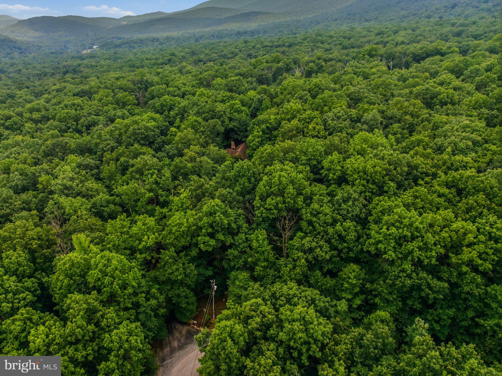 ROCK GAP WOODS - Residential
