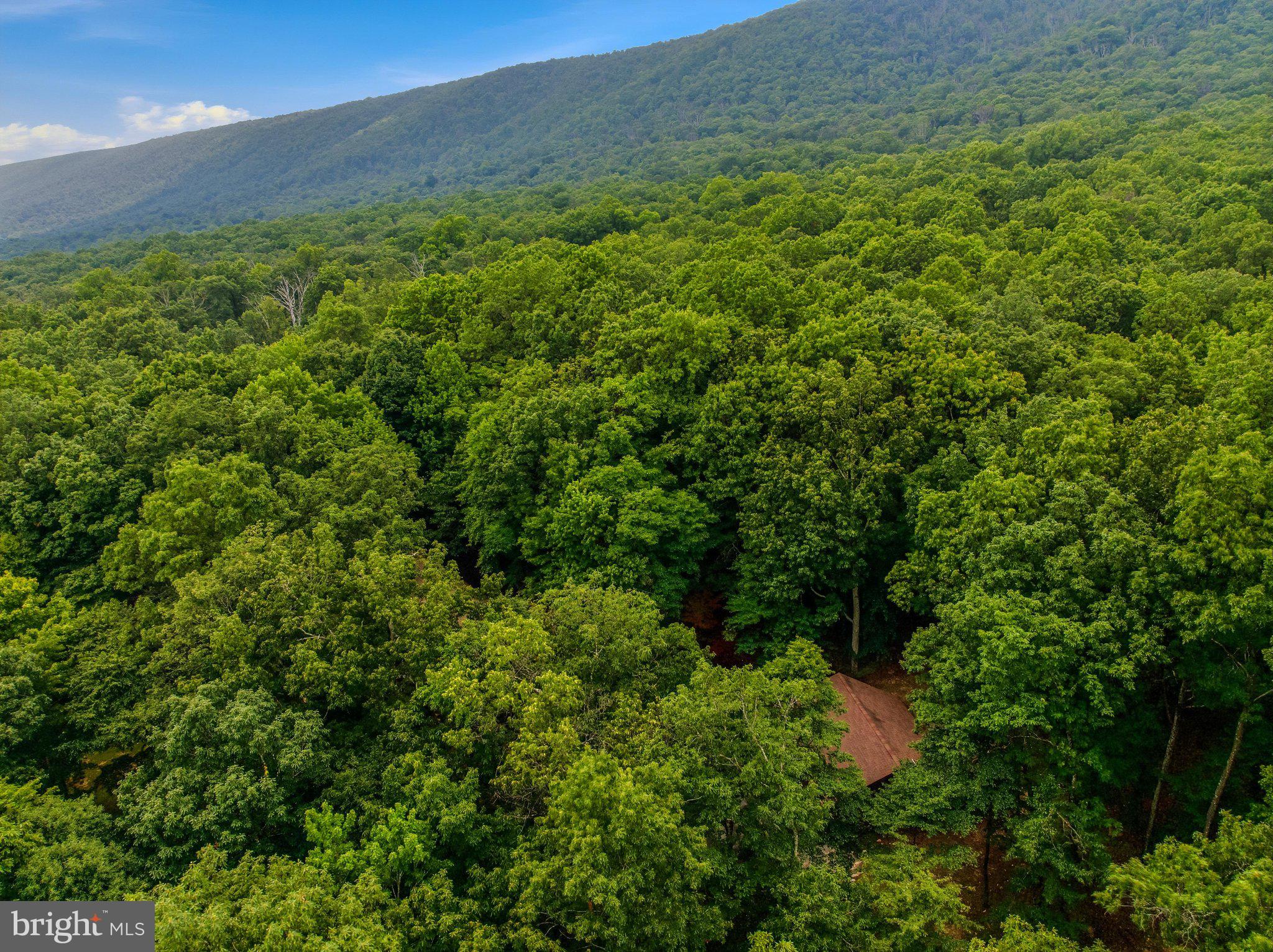 ROCK GAP WOODS - Residential