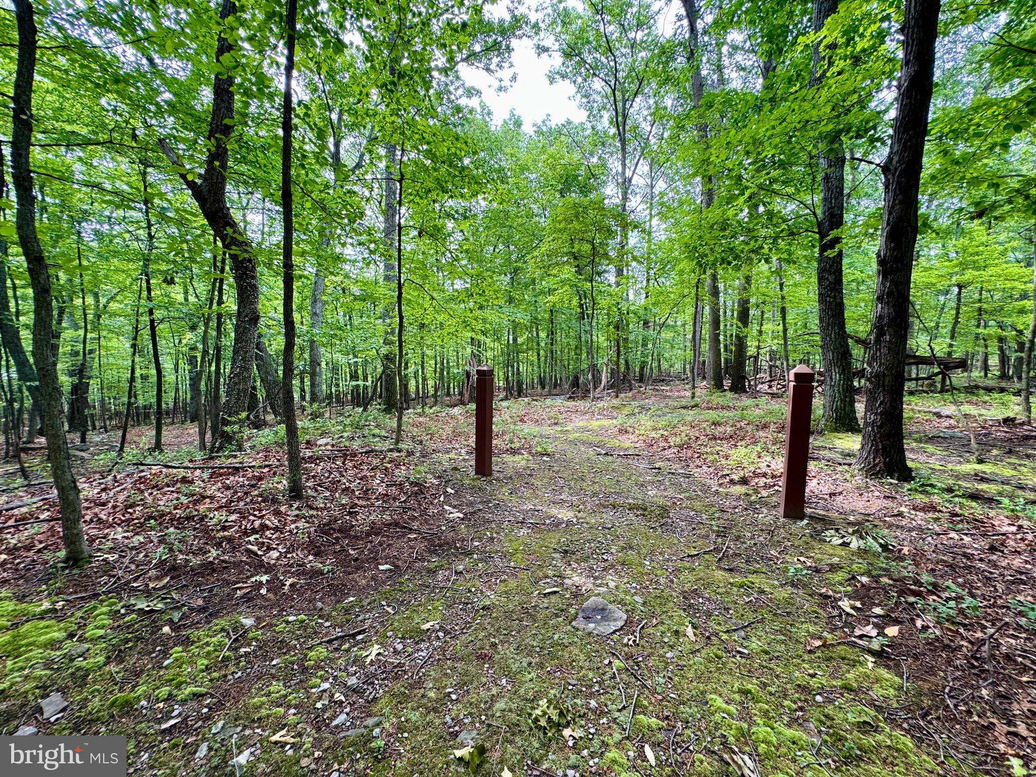 ROCK GAP WOODS - Residential