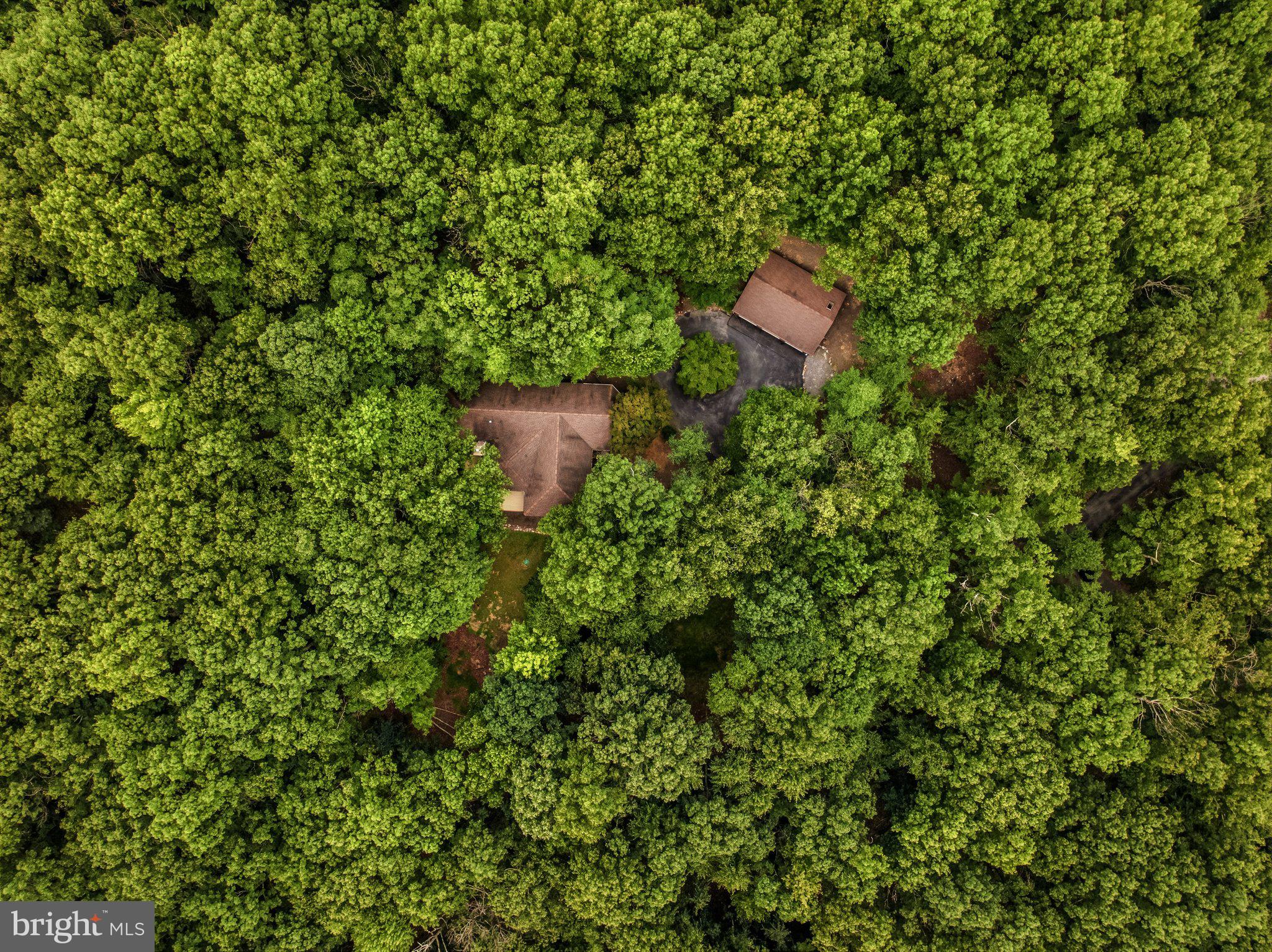 ROCK GAP WOODS - Residential