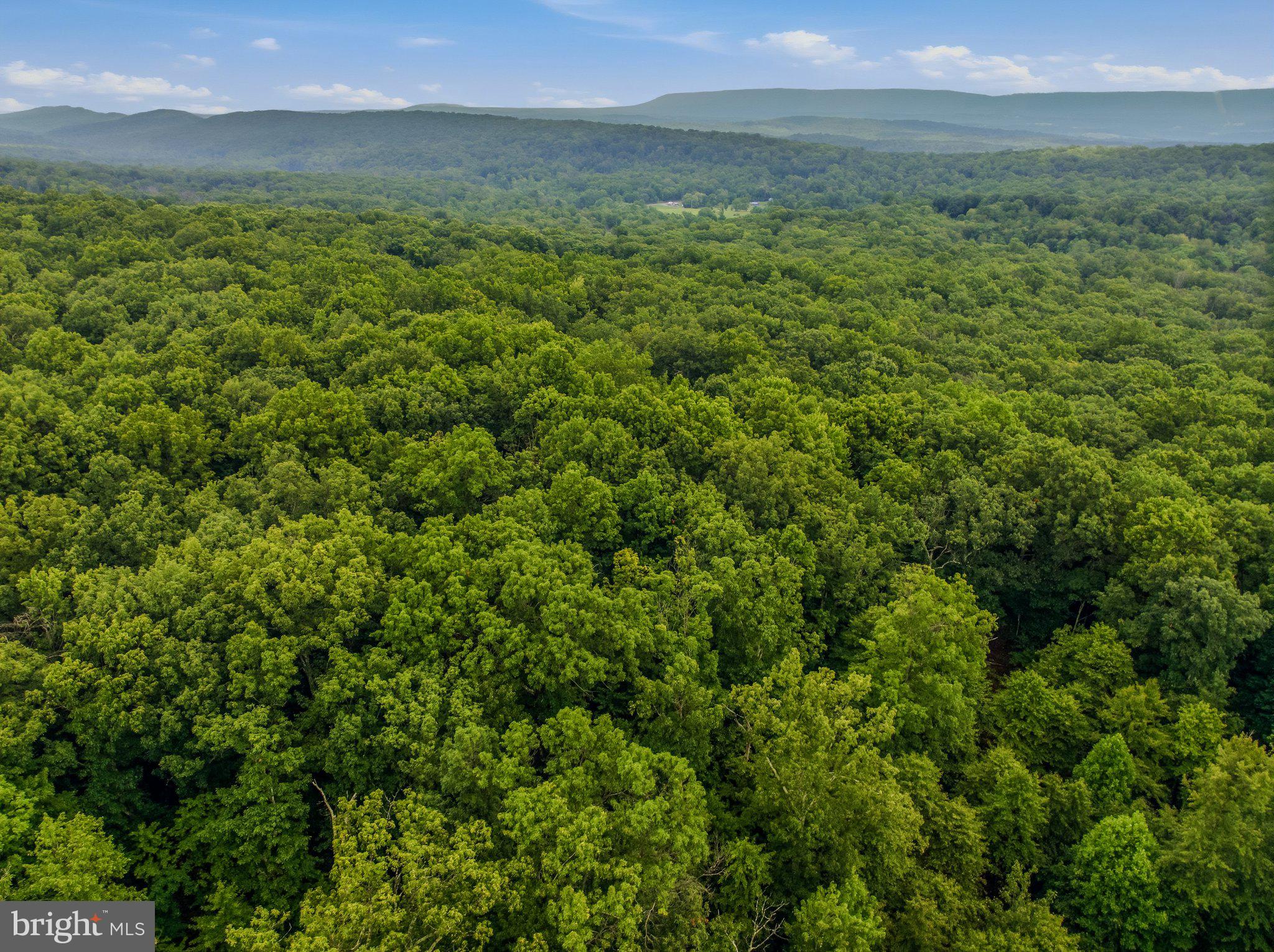 ROCK GAP WOODS - Residential