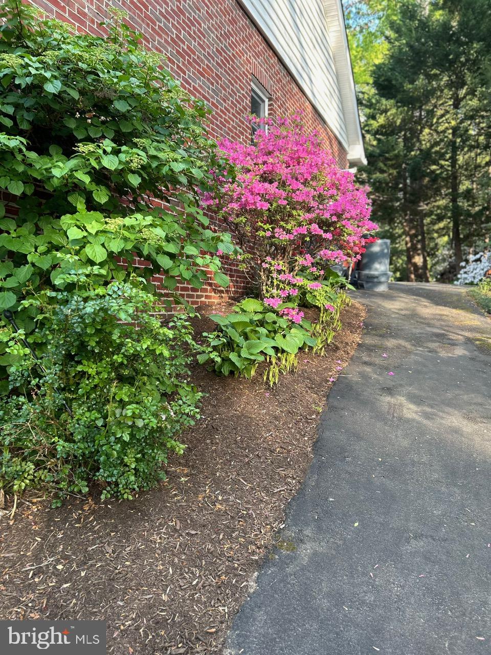 PINE RIDGE - Residential