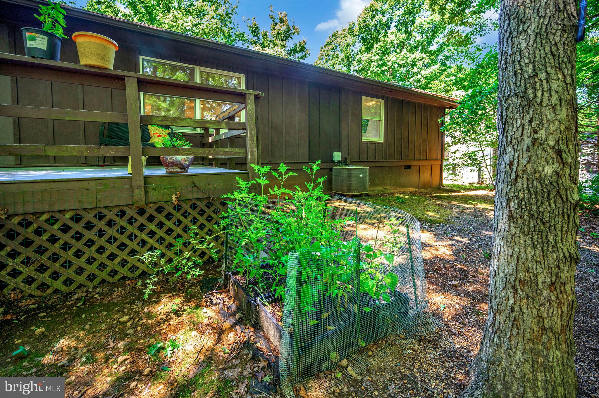 LAKE OF THE WOODS - Residential
