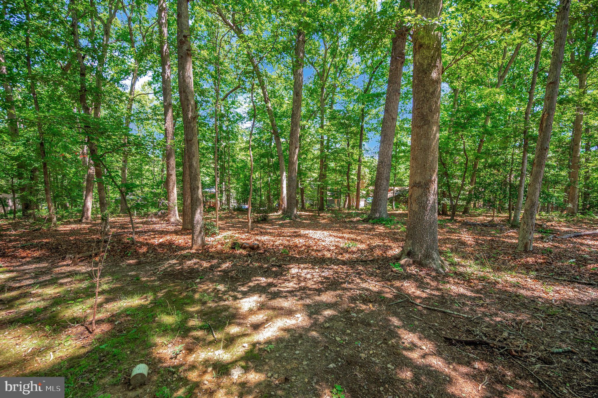 LAKE OF THE WOODS - Residential