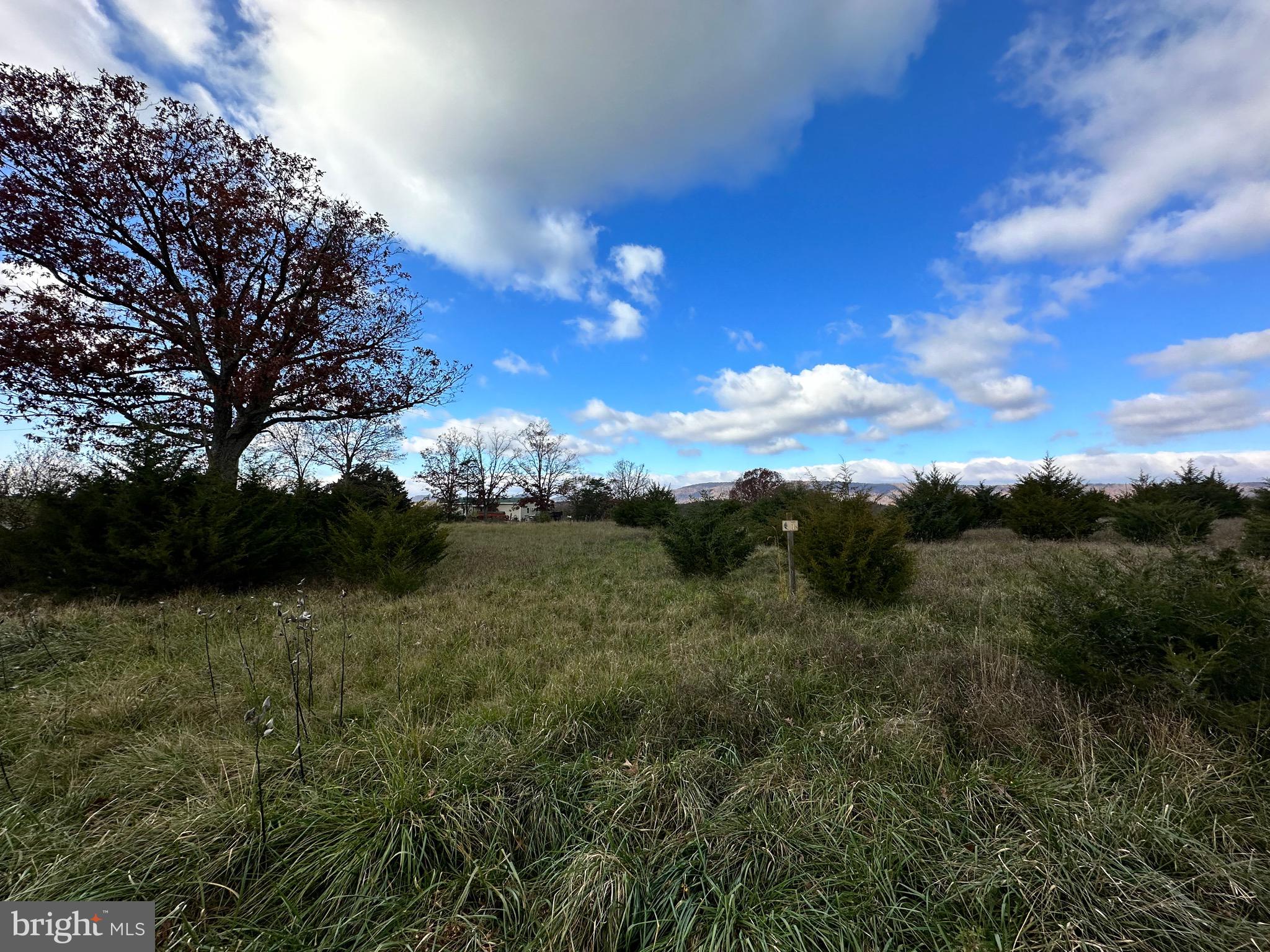 CEDAR LAKE - Land