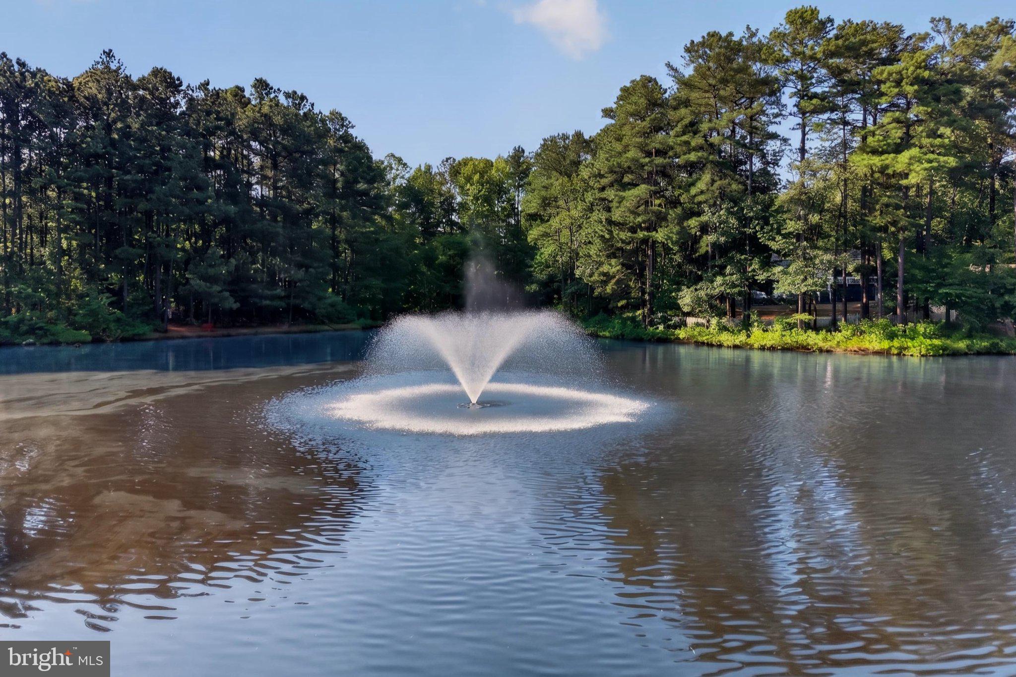 LAKE CAROLINE - Residential