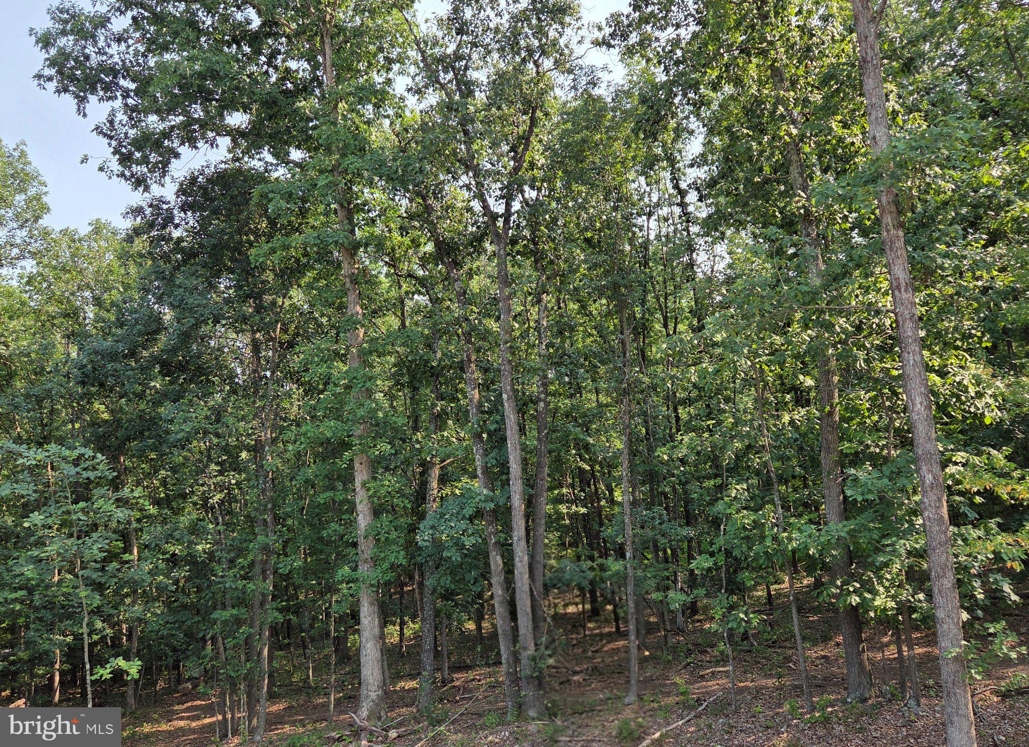 AUTUMN HILLS ESTATES - Residential