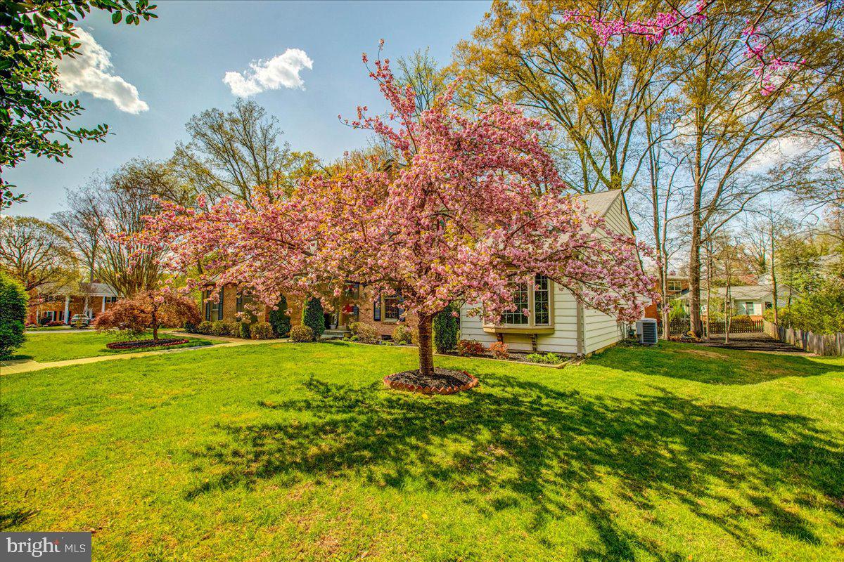 SOUTHWOOD - Residential