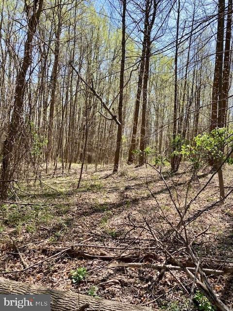 2+ acre forested lot, NO HOA. situated next to the Hawlings River Stream Valley county park and atop a forested knoll overlooking the Hawlings River. One of the least-expensive residential lots available for sale in Montgomery County. The plat, plans, reports, and drawings are available in the disclosures. The subject property is on the south side of the road, next to the last house.  The lot is sold AS-IS, the seller offers no guarantees regarding the land's future potential.

PLEASE DO NOT PARK ON THE BLACKTOP road; instead, park on Chandlee Mill Road's shoulder and hike to the top of the knoll.