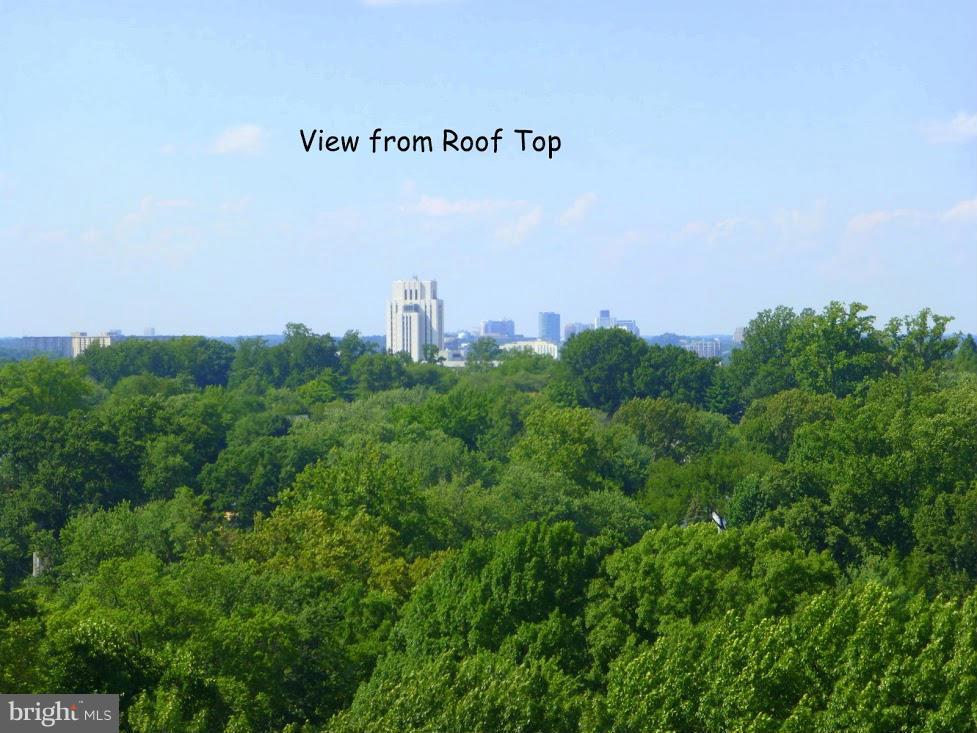 RIVIERA OF CHEVY CHASE - Residential