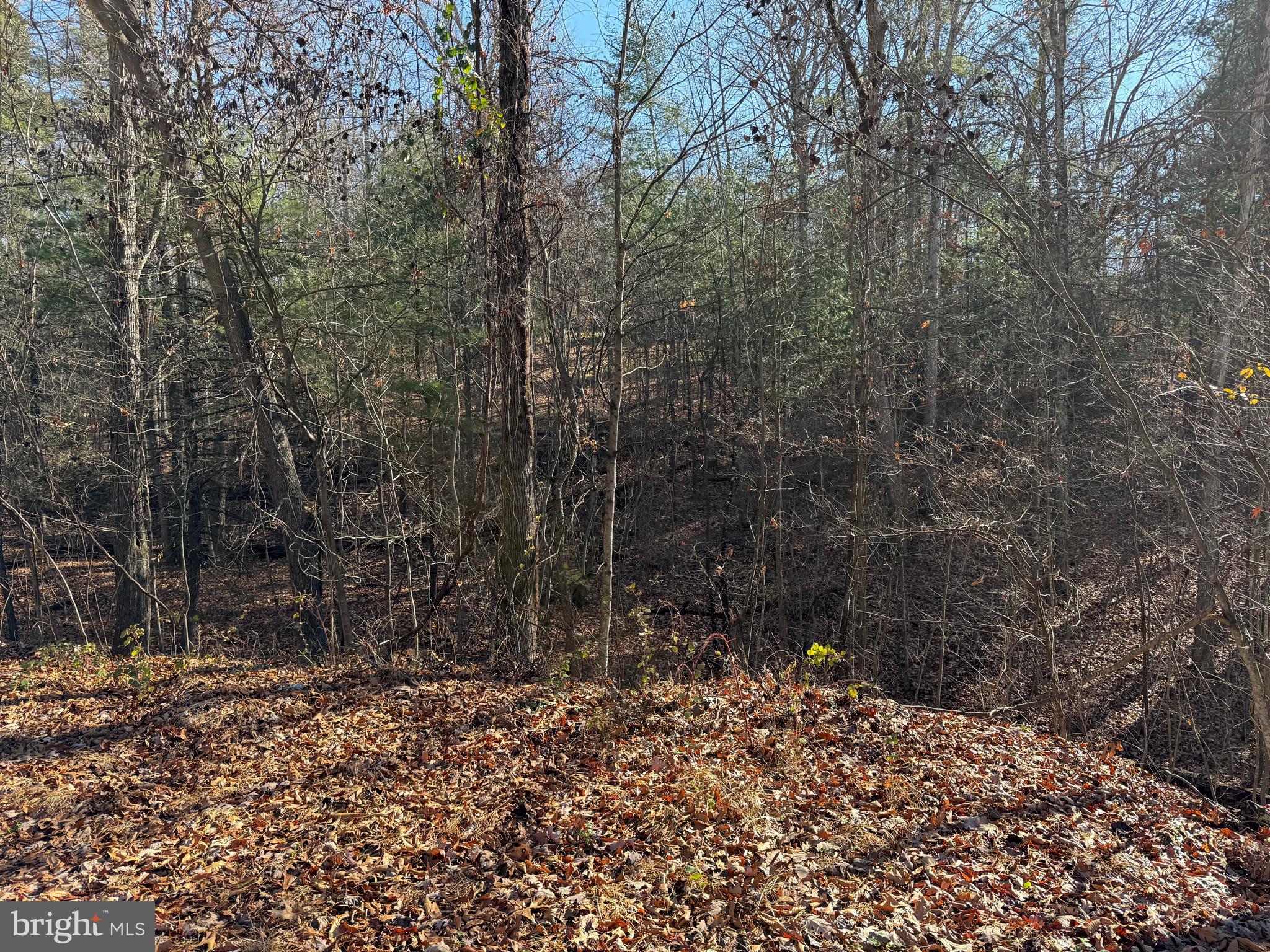 CHESTNUT GROVE - Land