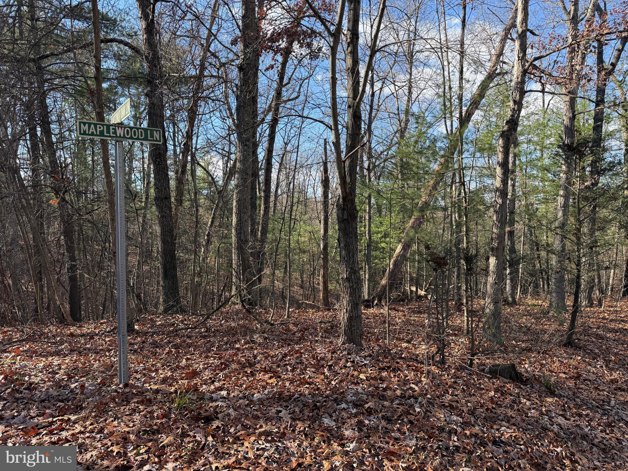 CHESTNUT GROVE - Land