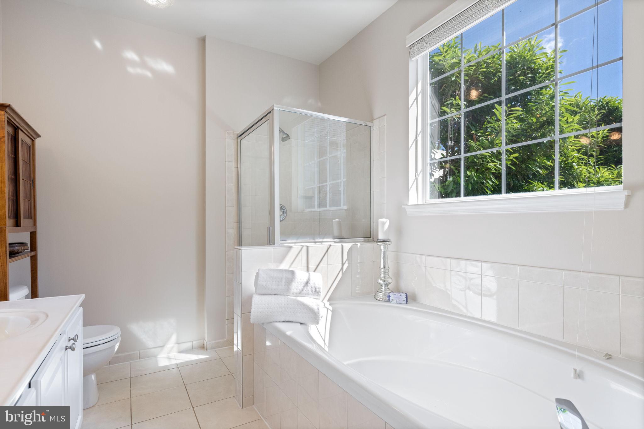 RIDGES AT ASHBURN - Residential
