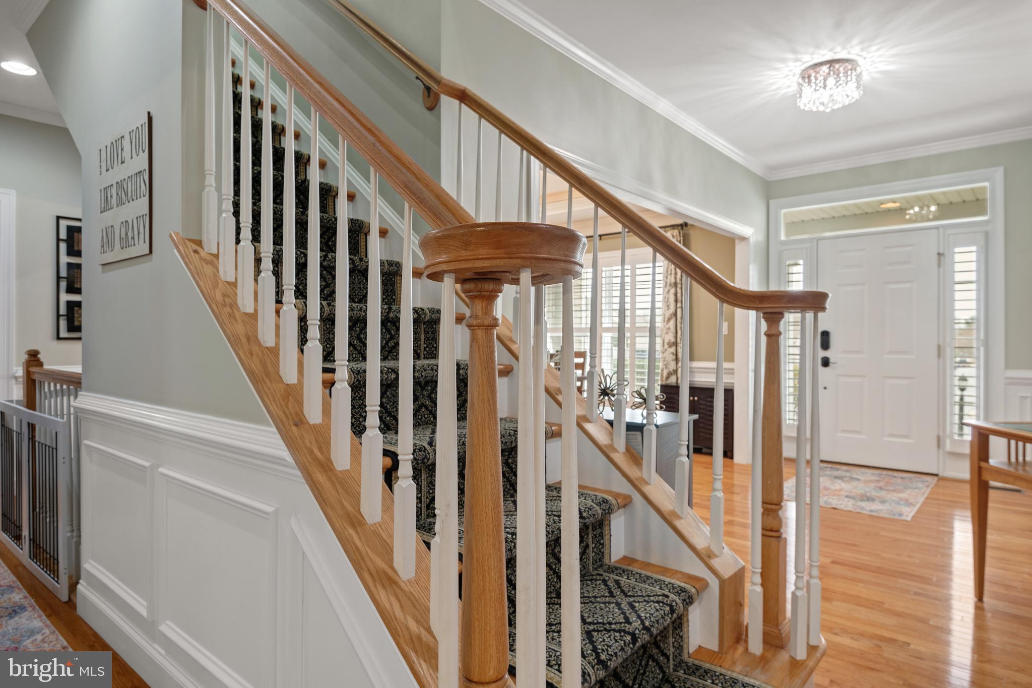 KOLLER POINTE - Residential