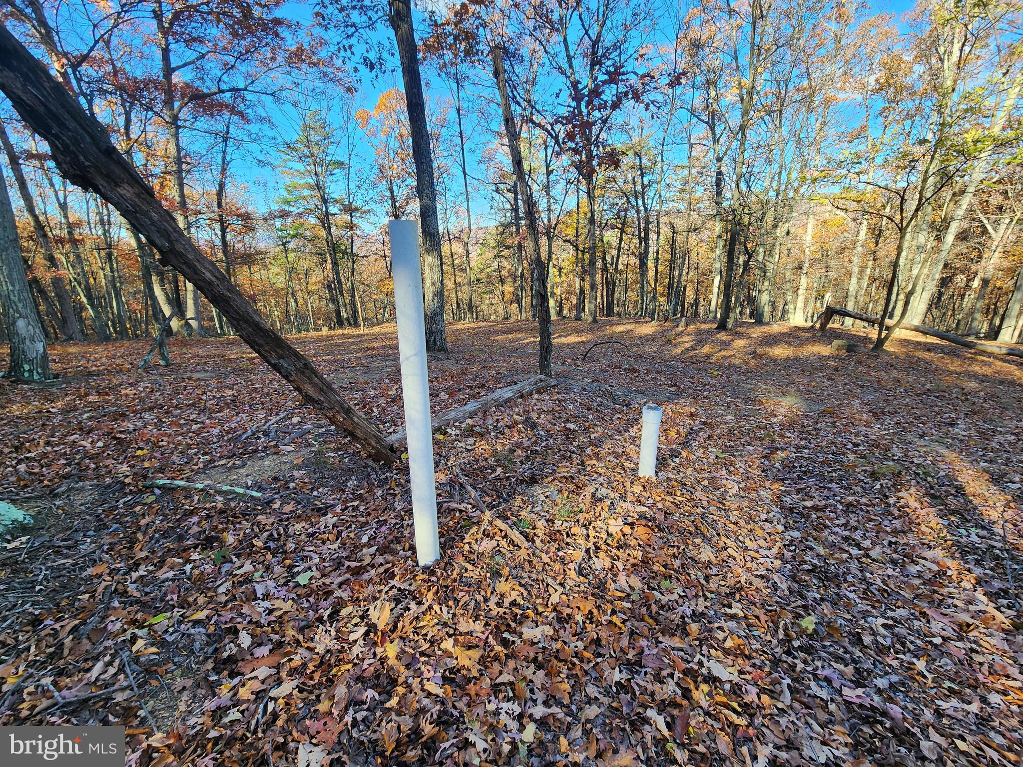 SHADOW KNOLLS - Land