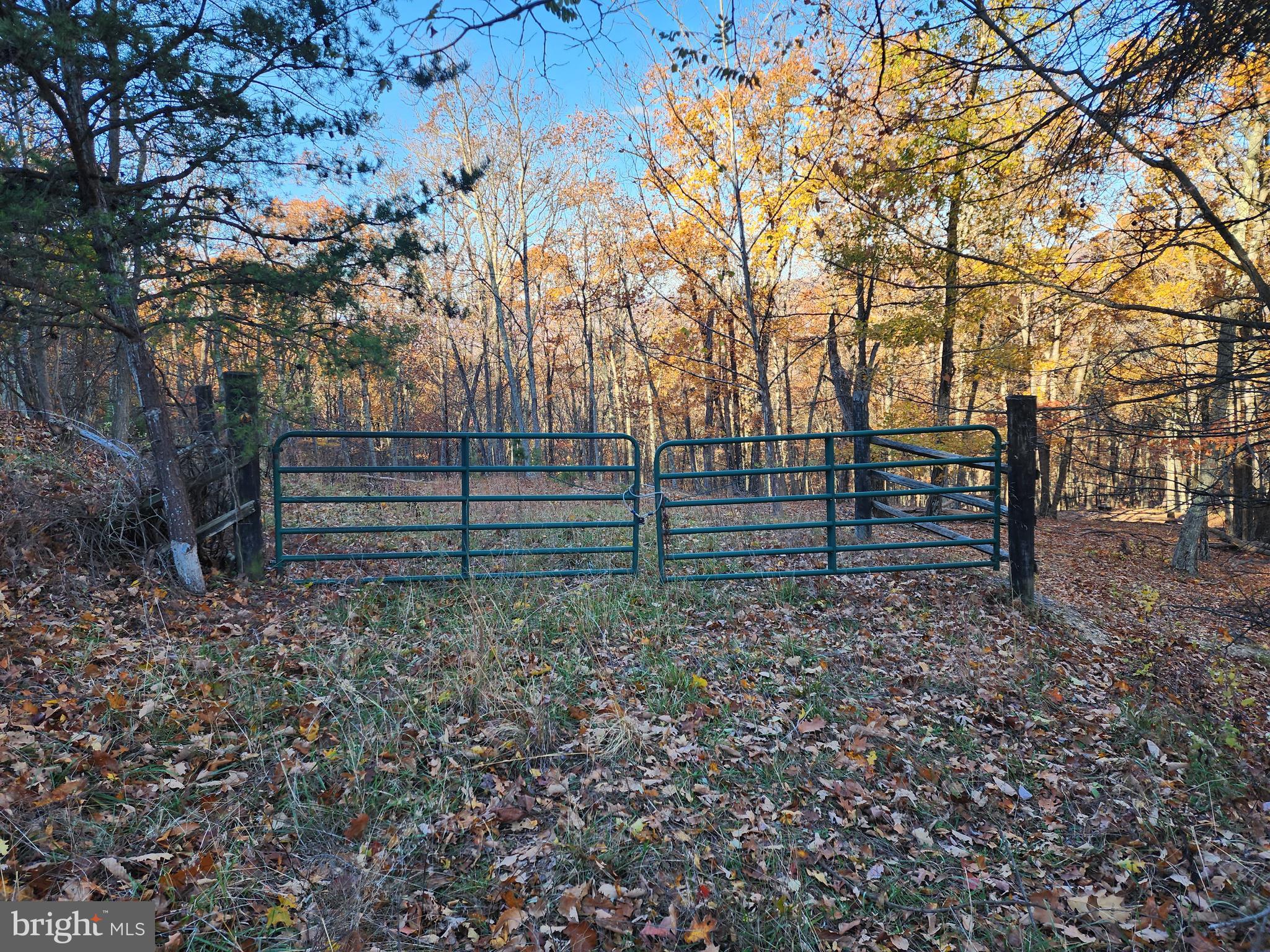 SHADOW KNOLLS - Land