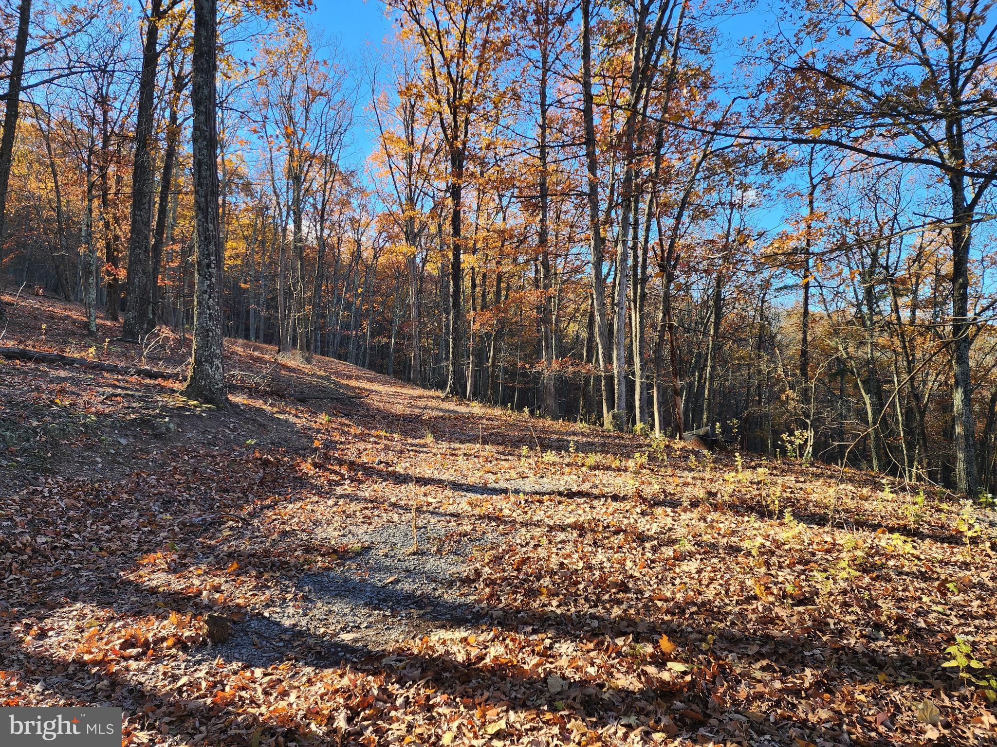 SHADOW KNOLLS - Land
