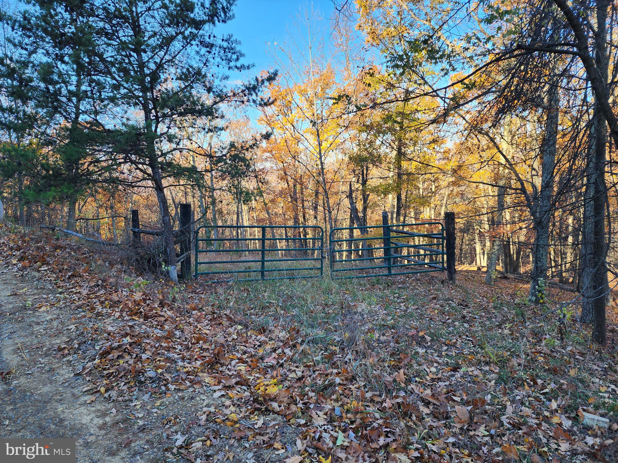SHADOW KNOLLS - Land