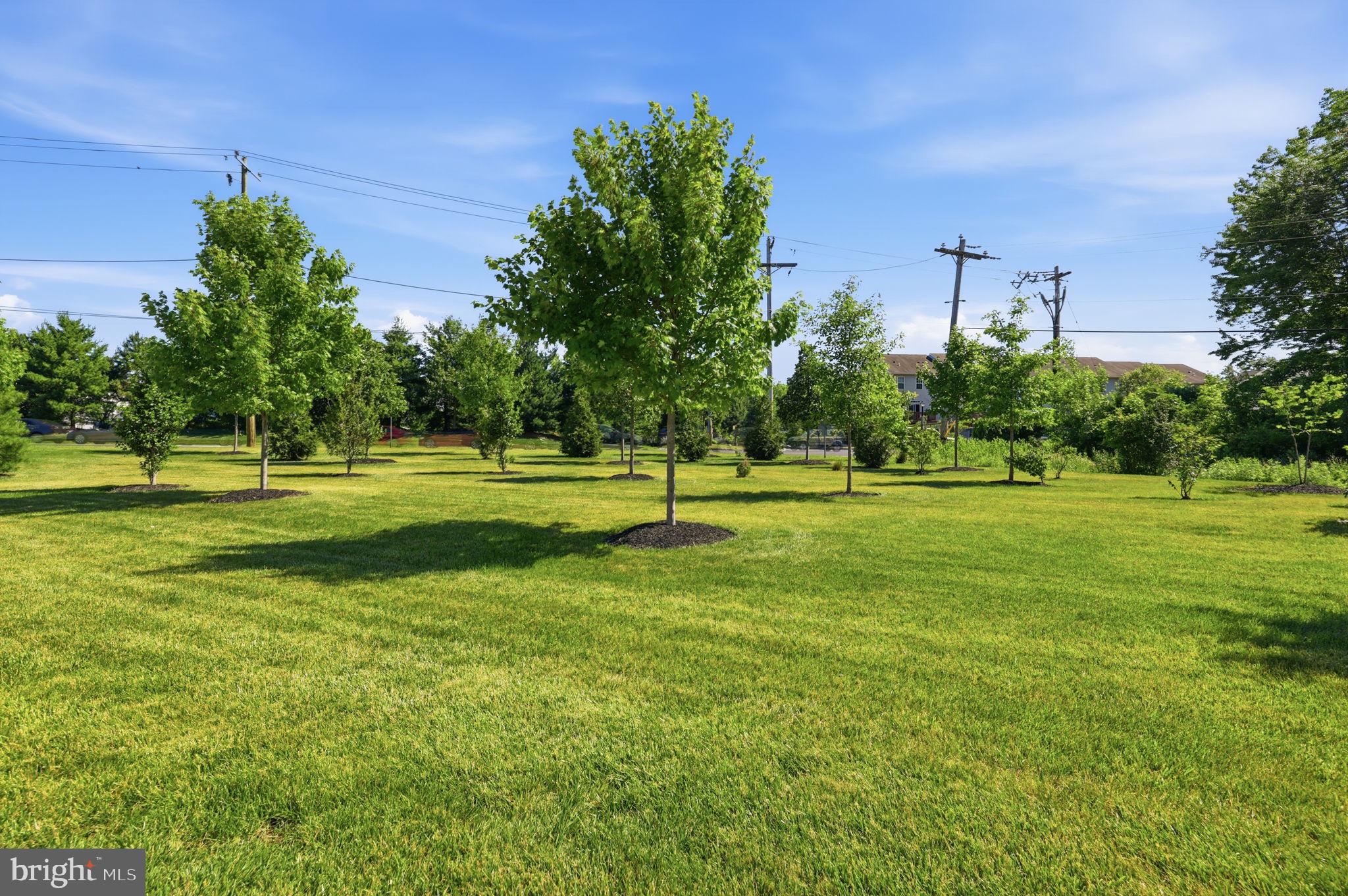 YARDLEY WOODS - Residential
