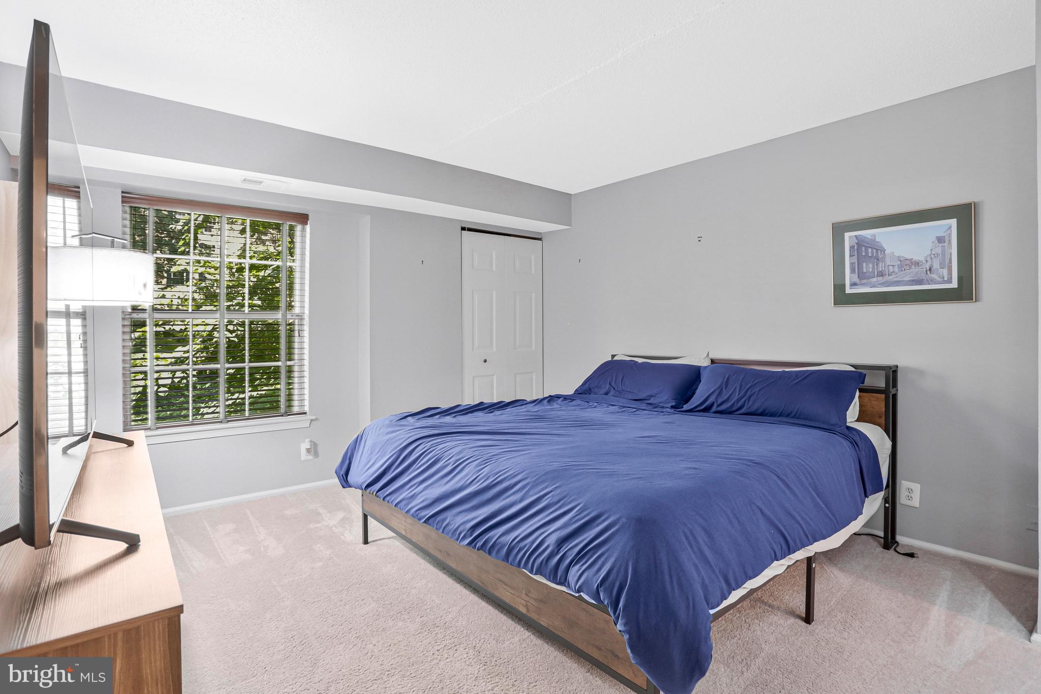 COLONIES AT MCLEAN - Residential