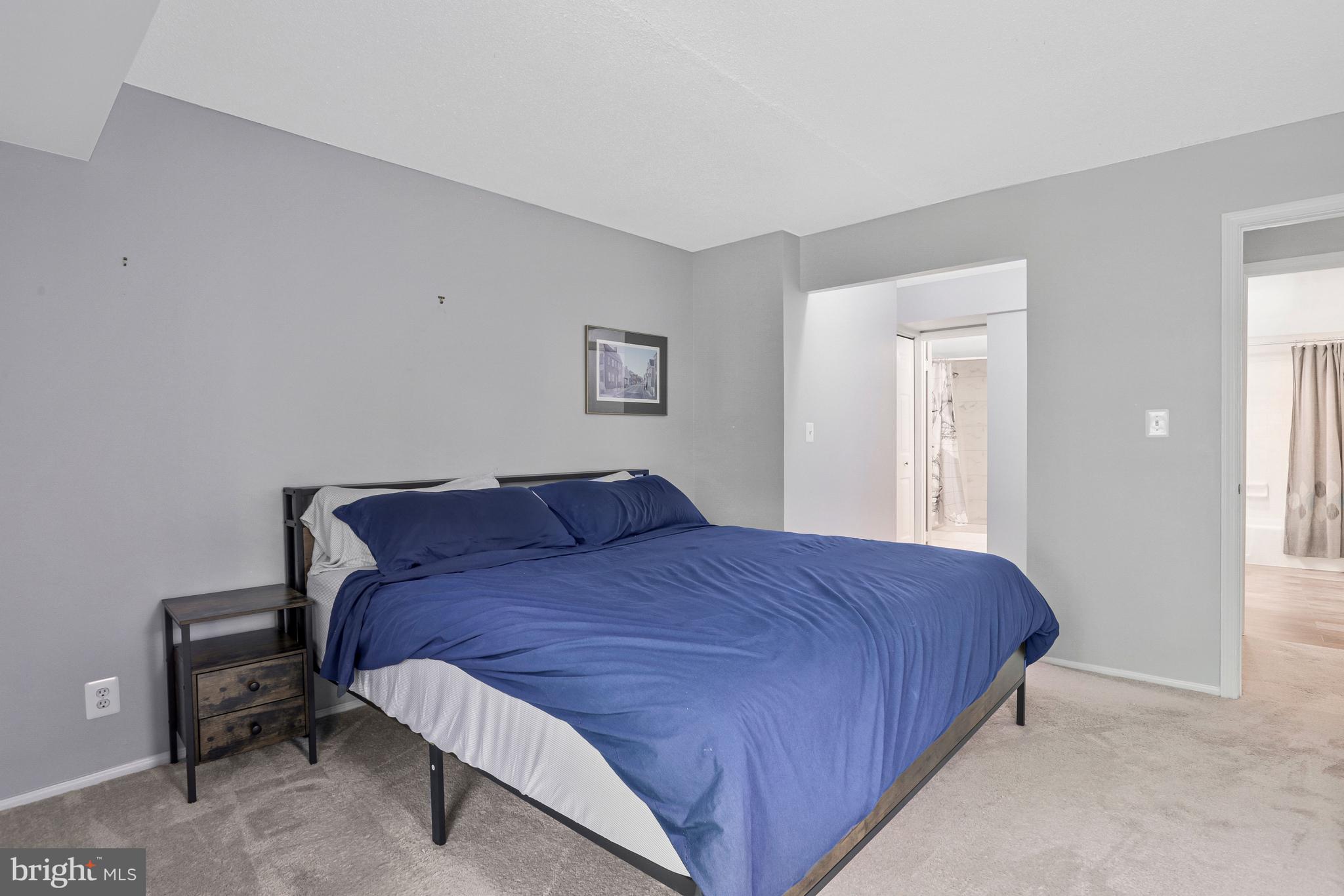 COLONIES AT MCLEAN - Residential