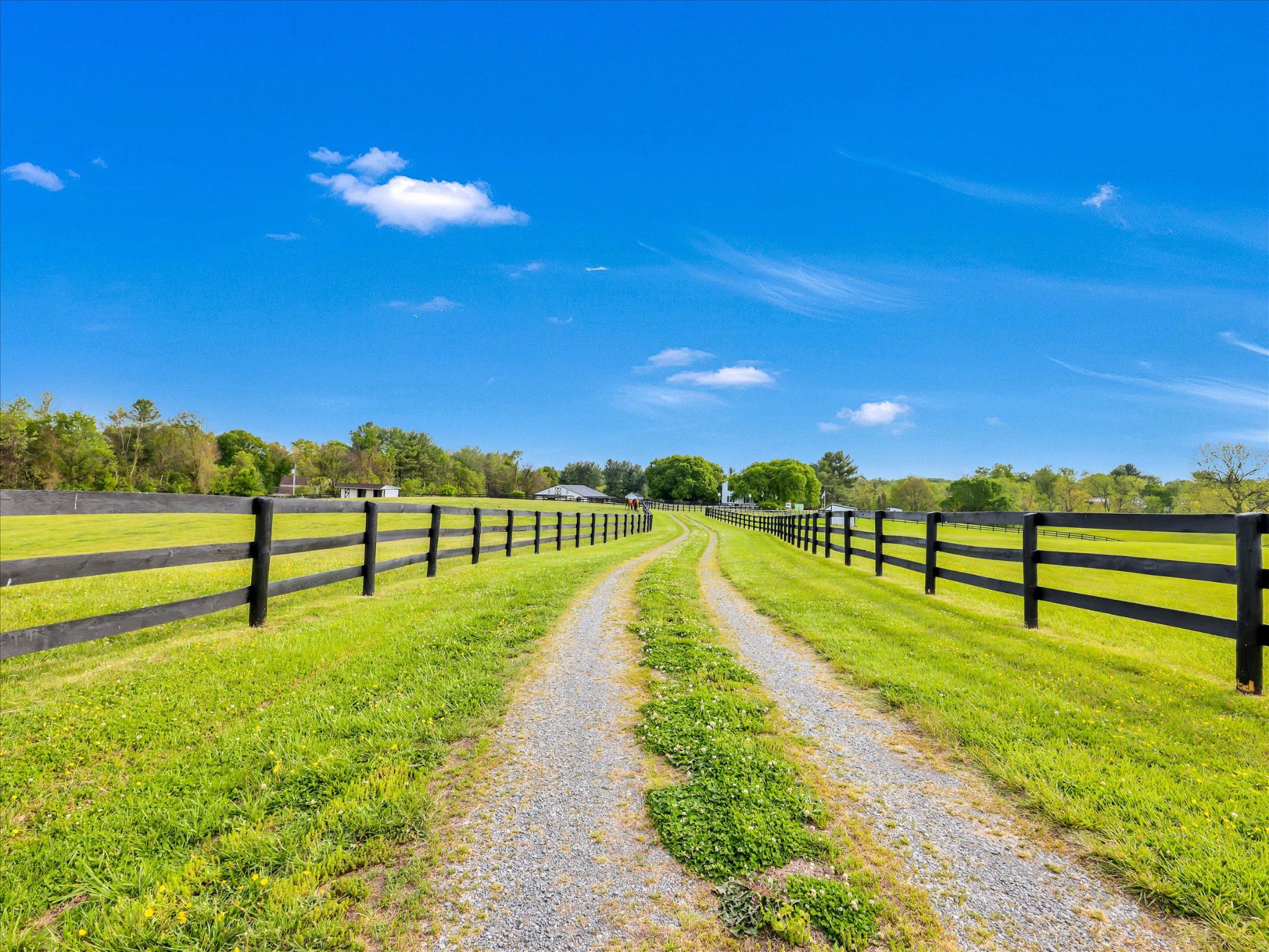 NONE AVAILABLE - Farm
