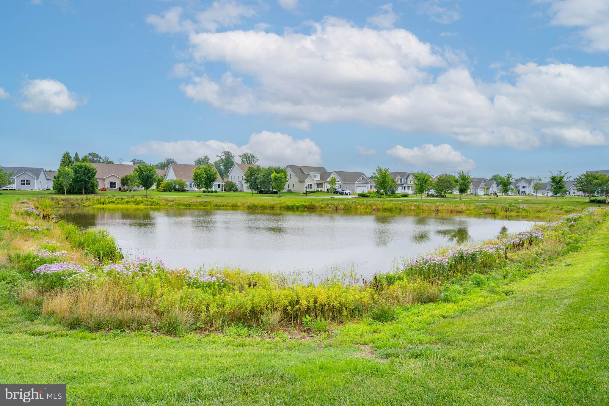 MARINA AT PEPPERS CREEK - Residential