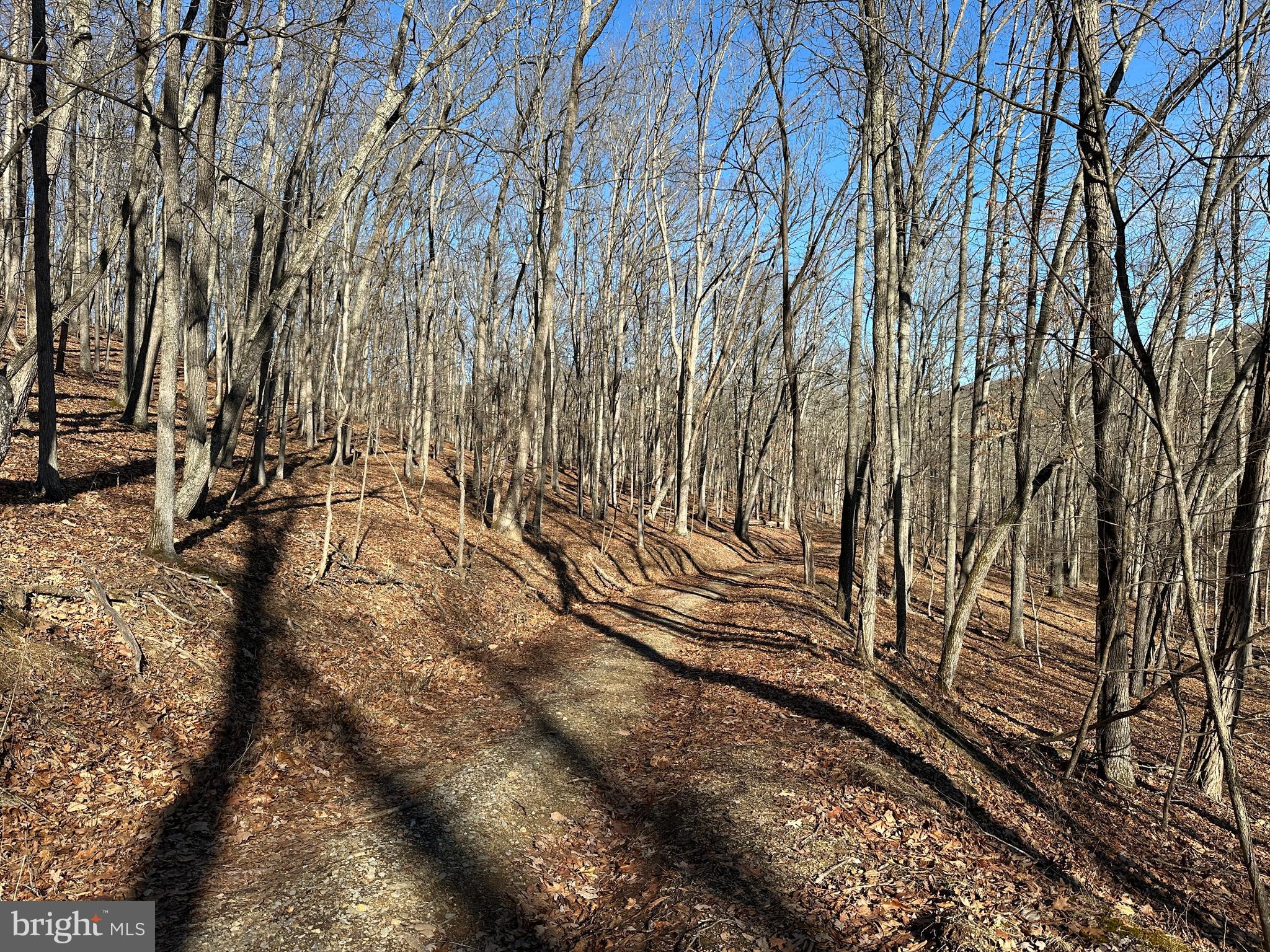 WALNUT BOTTOM HIDEAWAY - Land