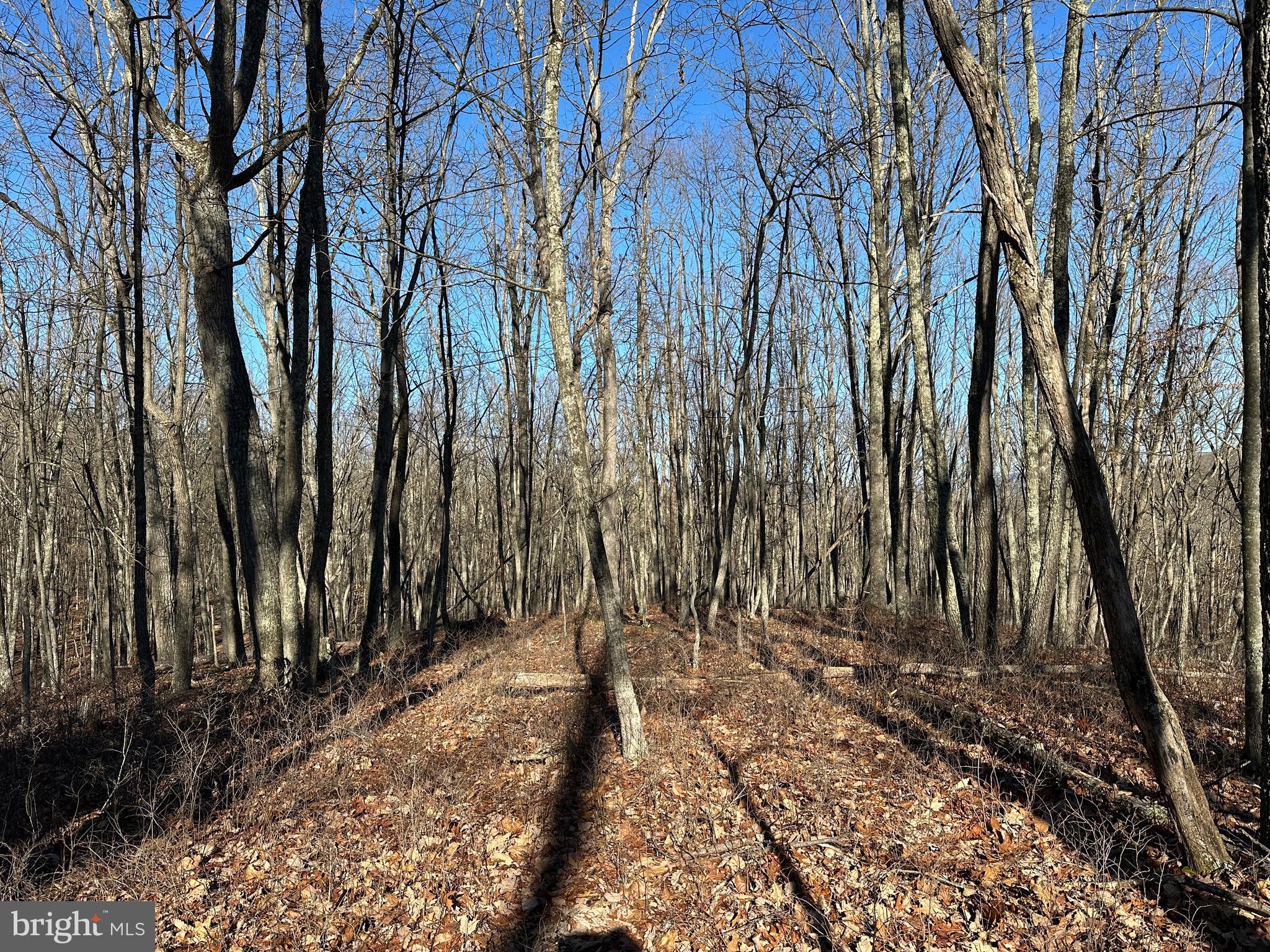 WALNUT BOTTOM HIDEAWAY - Land