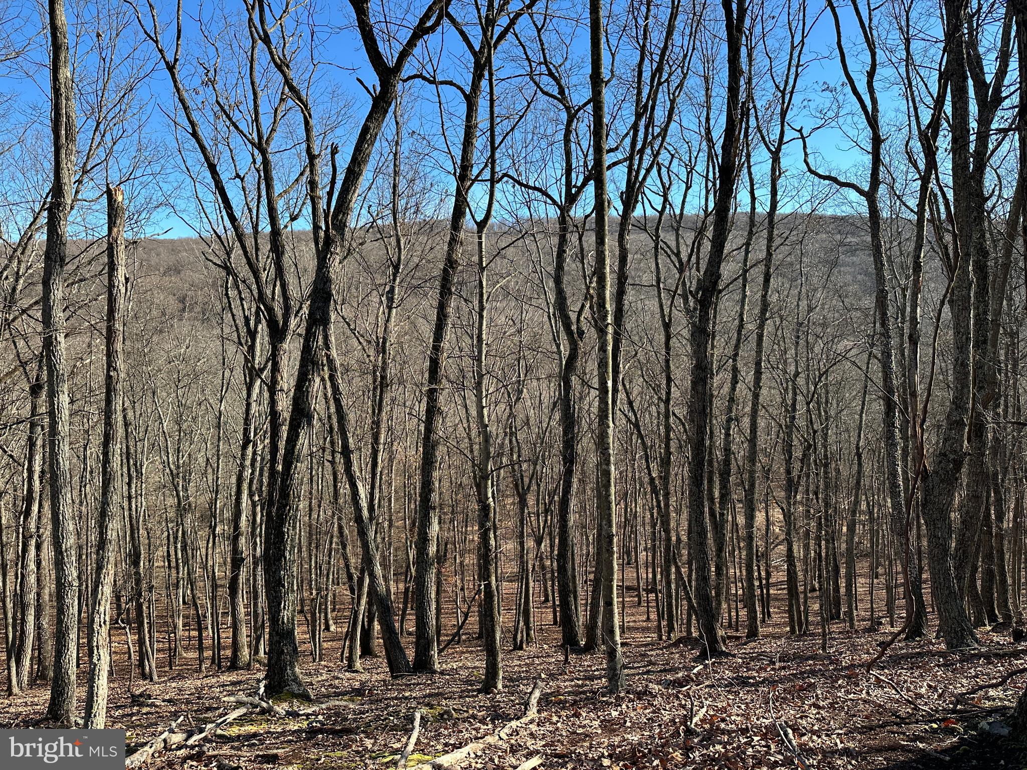 WALNUT BOTTOM HIDEAWAY - Land