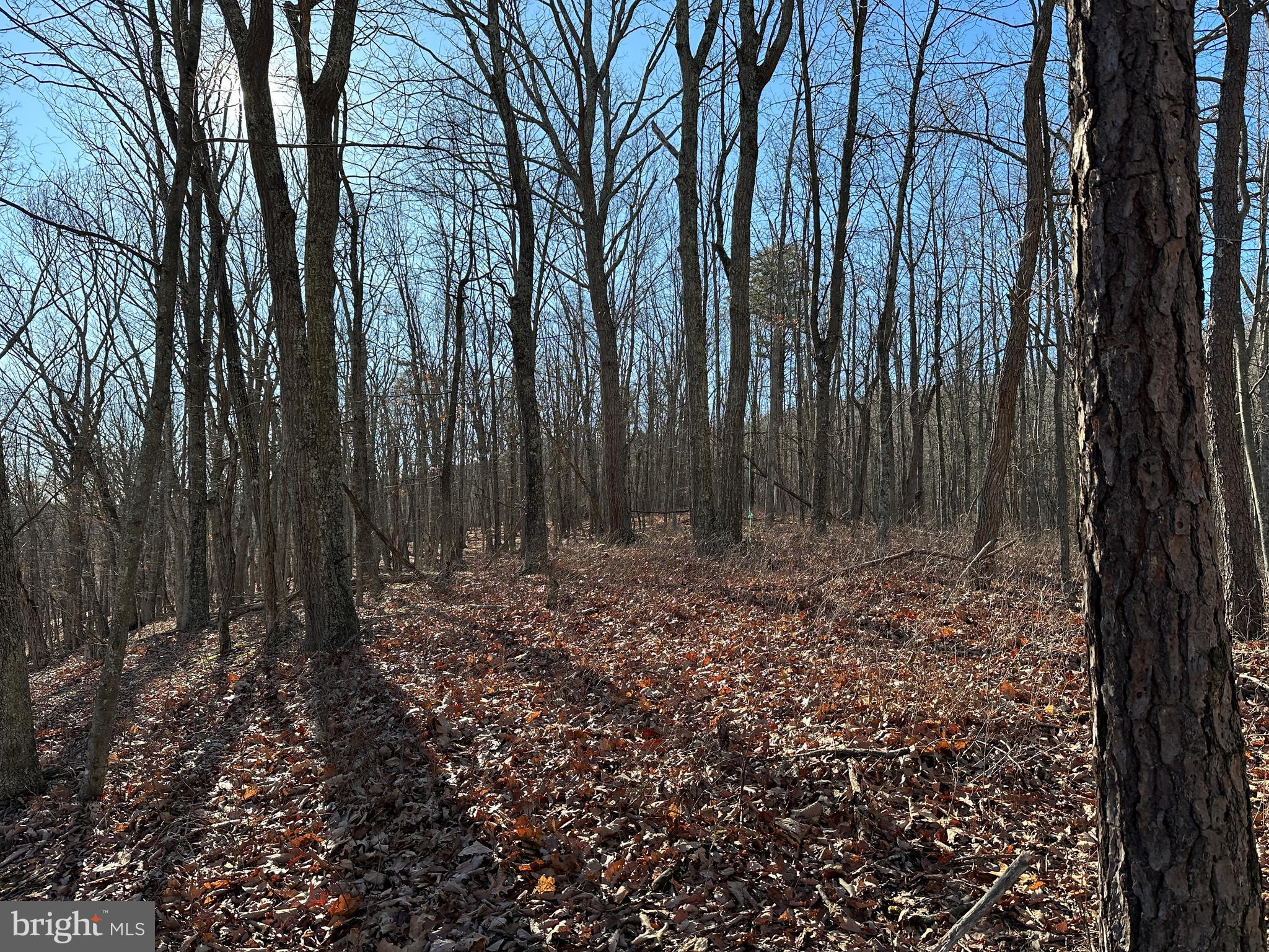 WALNUT BOTTOM HIDEAWAY - Land