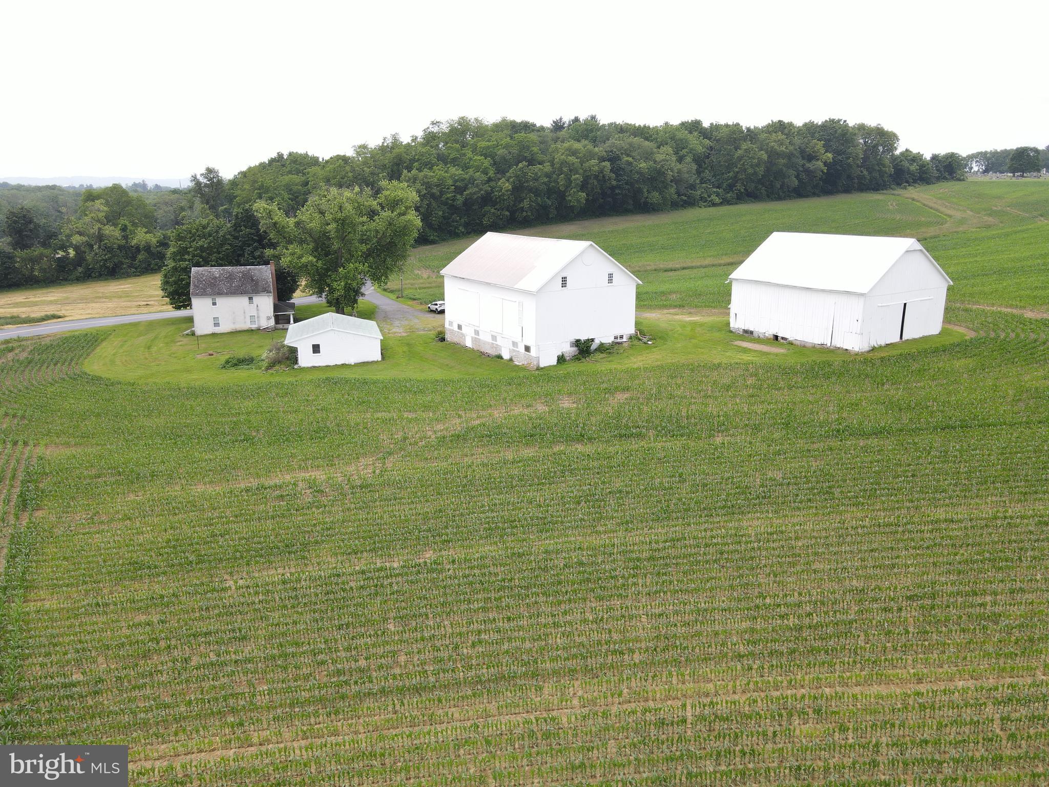 NONE AVAILABLE - Farm