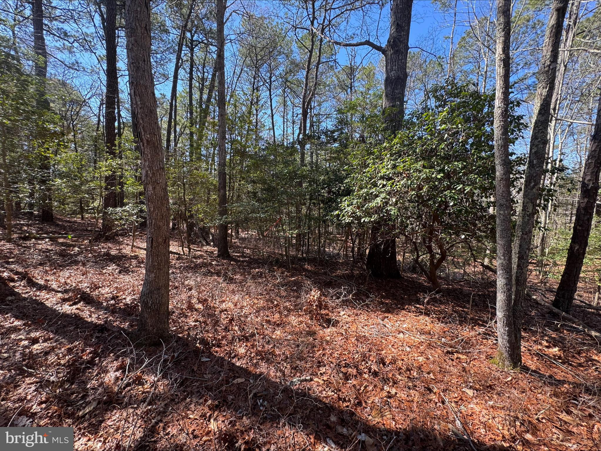 This oversized lot is ready for a new owner. Build your dream home on this .3214 acre homesite. Buy now and build later. There is no builder tie in. This lot is located in Captain's Cove & features indoor & outdoor pools, a restaurant, banquette rooms, fitness center, basketball & tennis courts, boat launch, playground, security and so much more all included in the HOA!