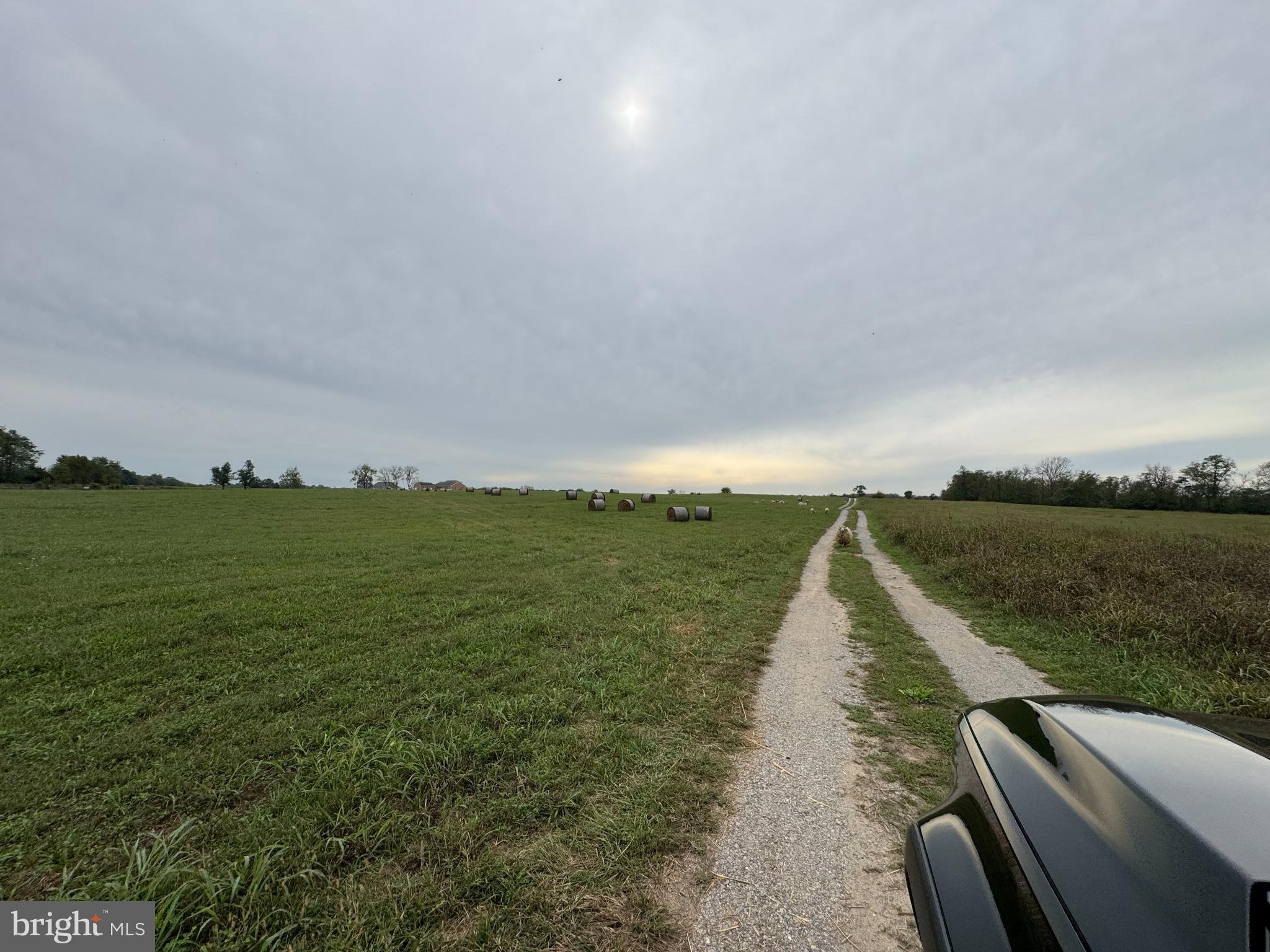 KEARNEYSVILLE - Land