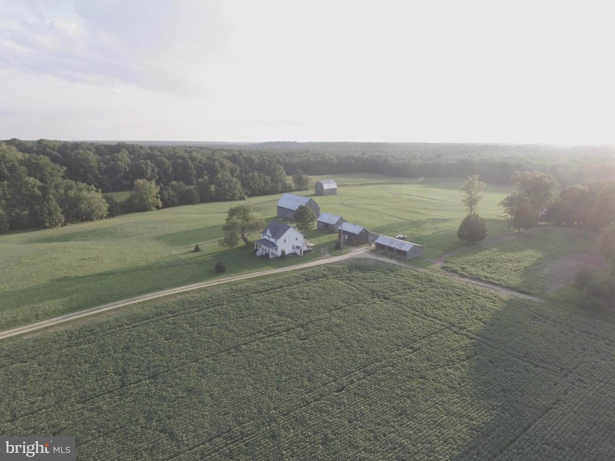 NONE AVAILABLE - Farm