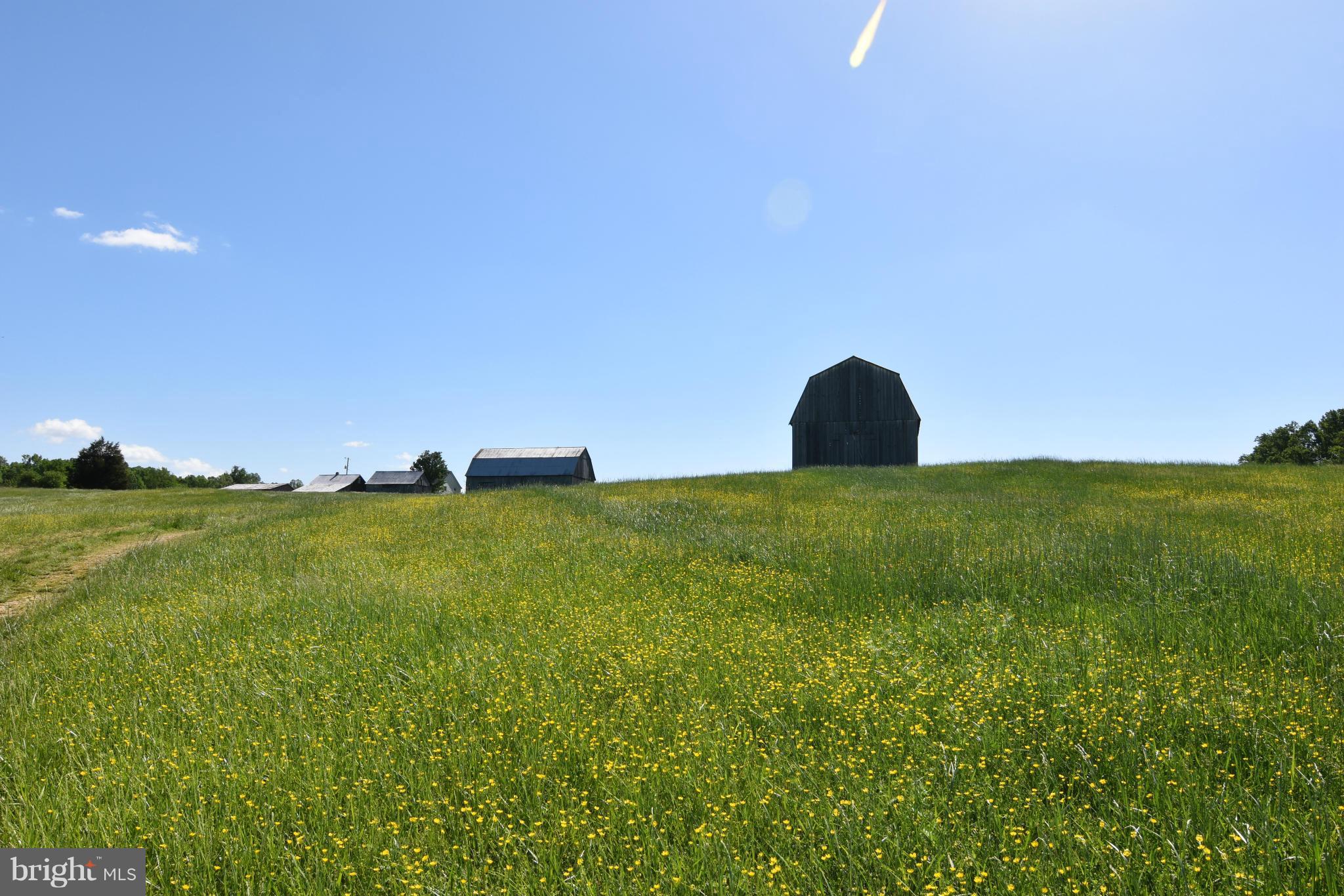 NONE AVAILABLE - Farm