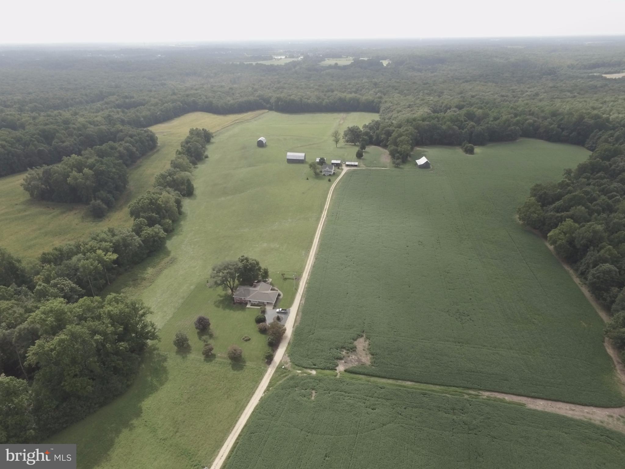 Beautiful 190 acre farm with two houses.  Brick rambler has 3 bedrooms, 2 1/2 baths, family room with fireplace, basement,  car port & patio.  Farm house has 4 bedrooms 1 1/2 baths, cellar, enclosed porch & large front porch overlooking the farm.  3 tobacco barns, (2 have been refurbished), cattle shed, corn crib, shop, tool shed, 3 bay tool/car shed. Farm is deeded a Rural Legacy Conservation.