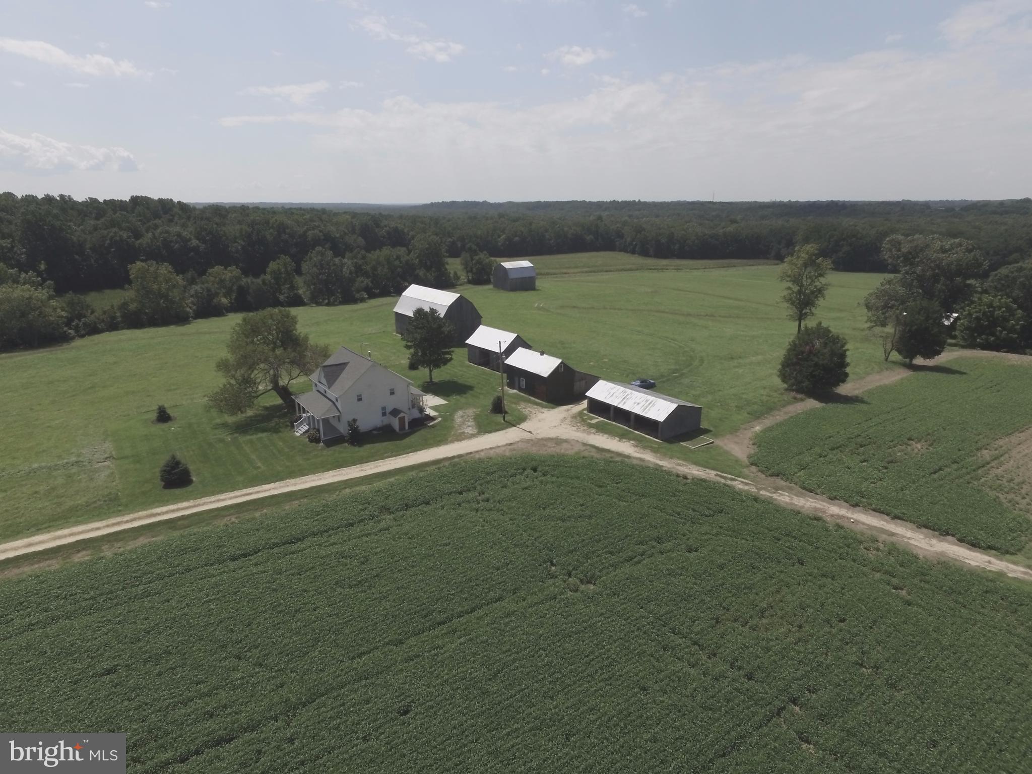 NONE AVAILABLE - Farm