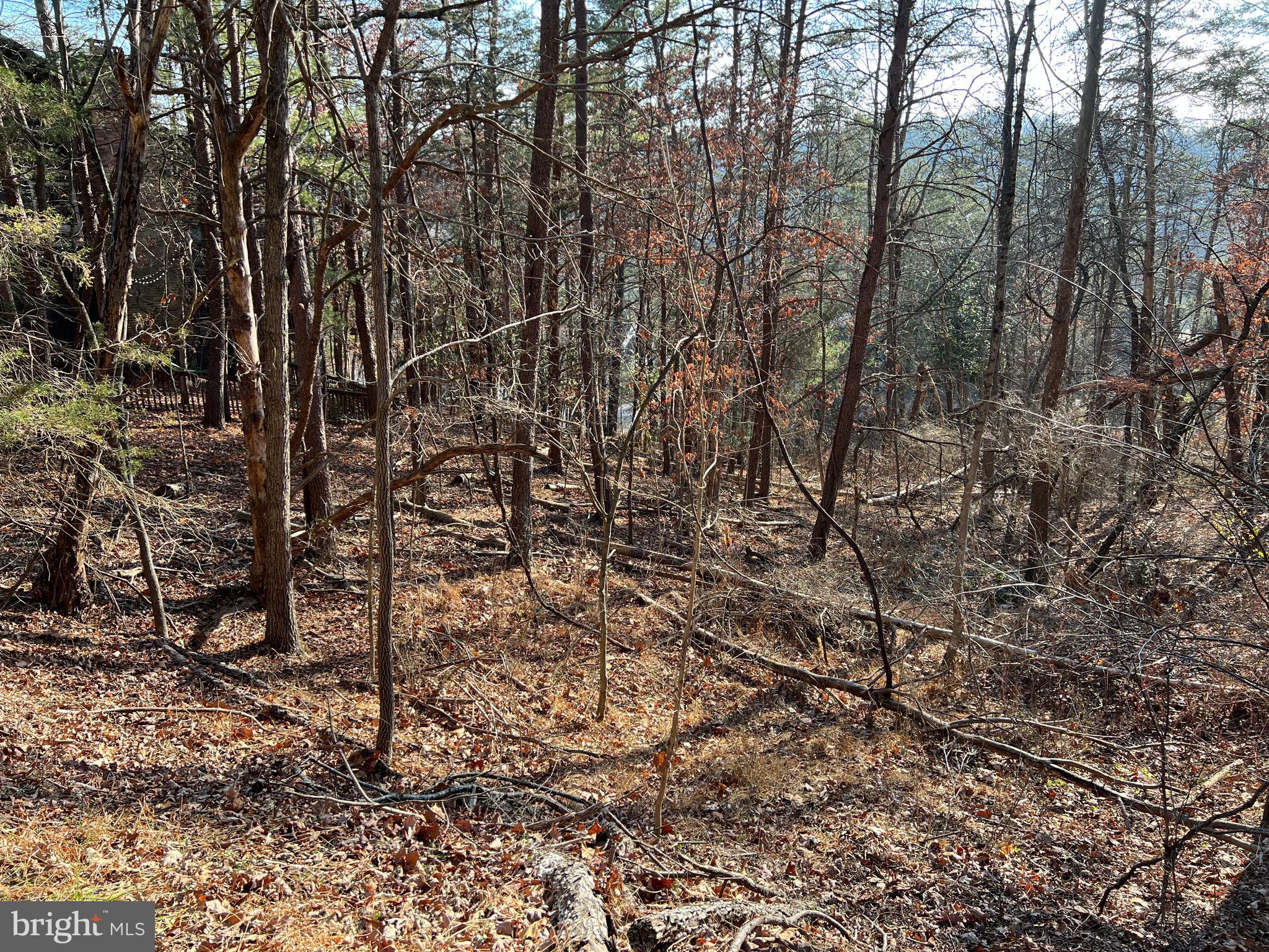 Dream homes welcomed! Bring your builder and your plans and let's get started. Water and sewer come to the lot line. There is a $10,000 hookup fee when you build! Great potential for nice views and easy access to all Bryce amenities! Come take a look!