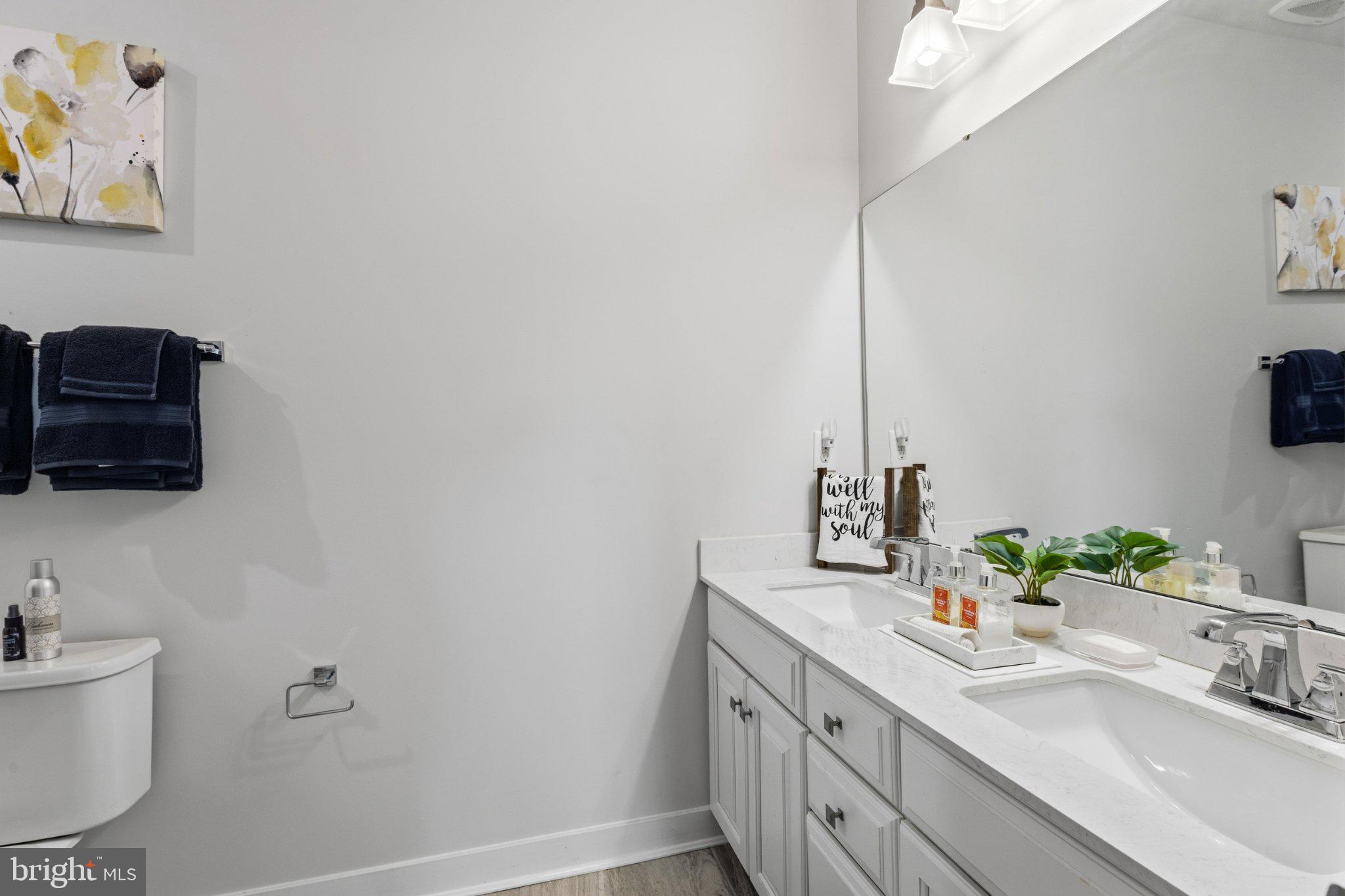 PRESERVE AT ROBINSON FARMS - Residential