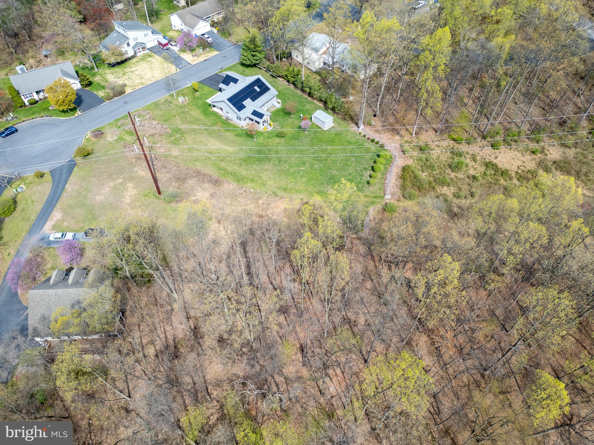 COLONIAL WOODS - Land