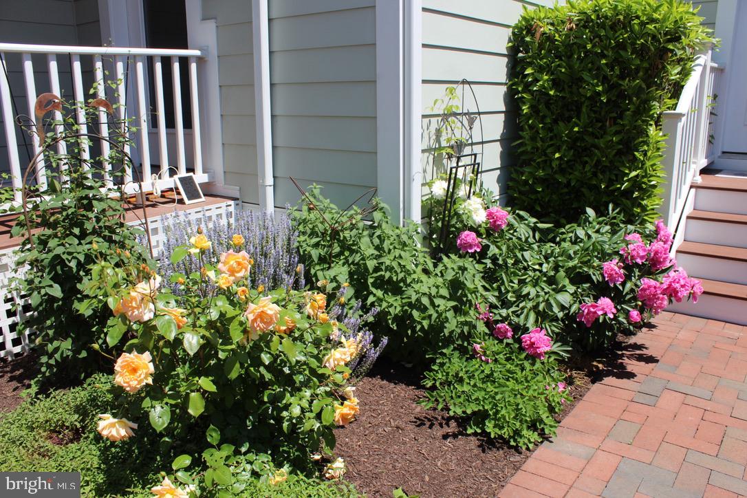 EASTON VILLAGE - Residential