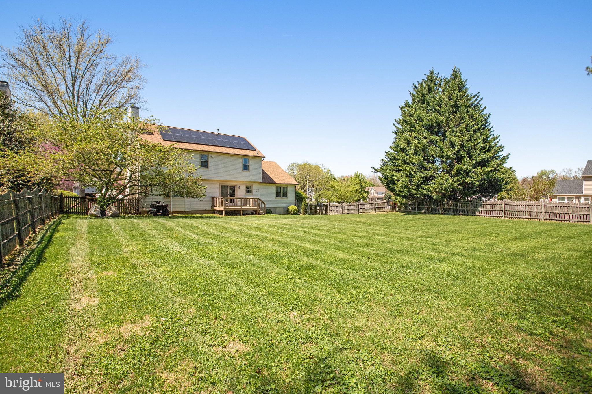 SMOKETREE - Residential