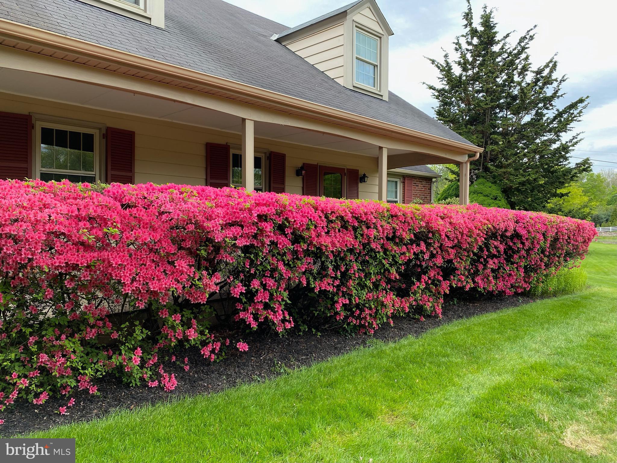 PEBBLE HILL - Residential Lease