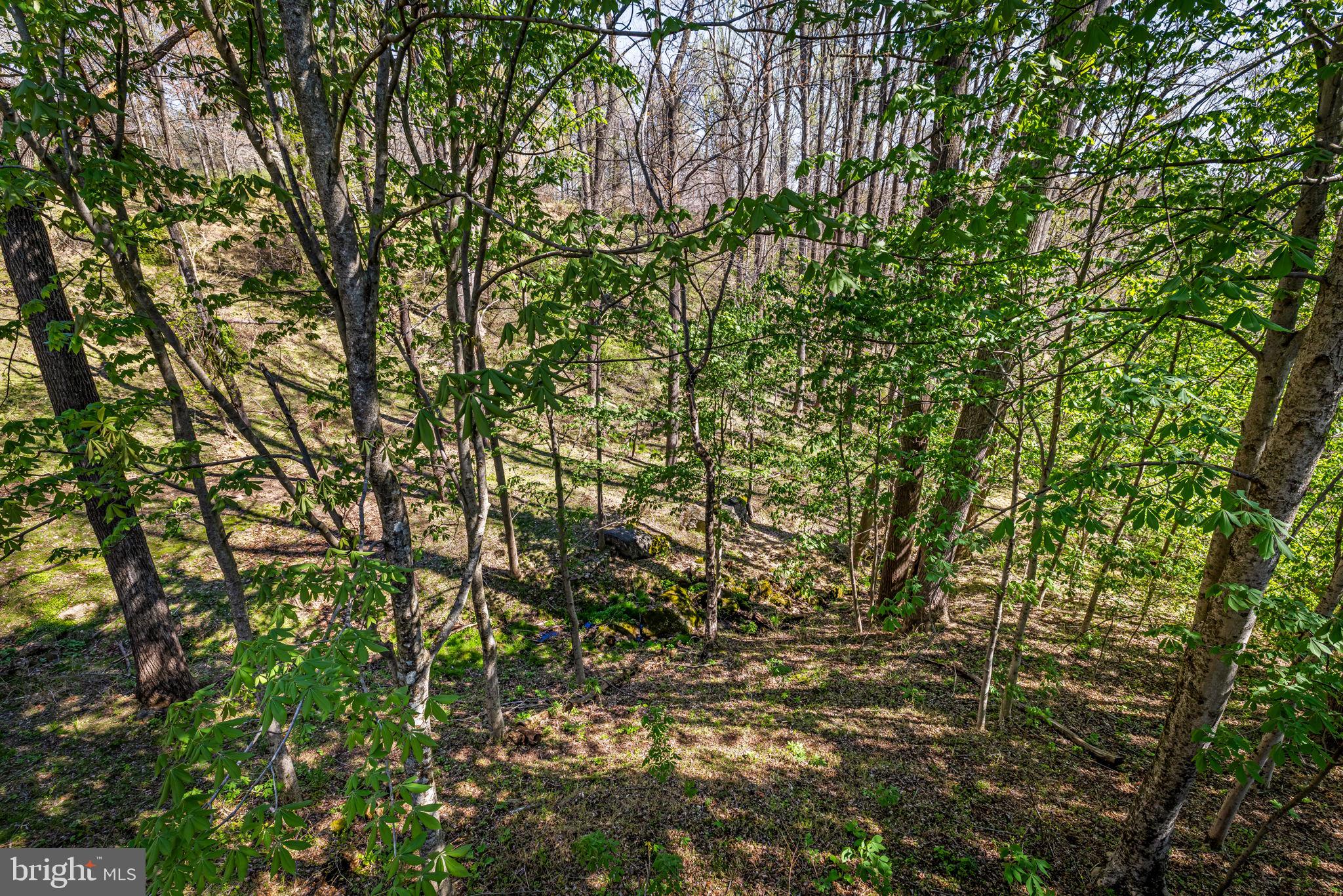 QUAKER HILLS - Residential