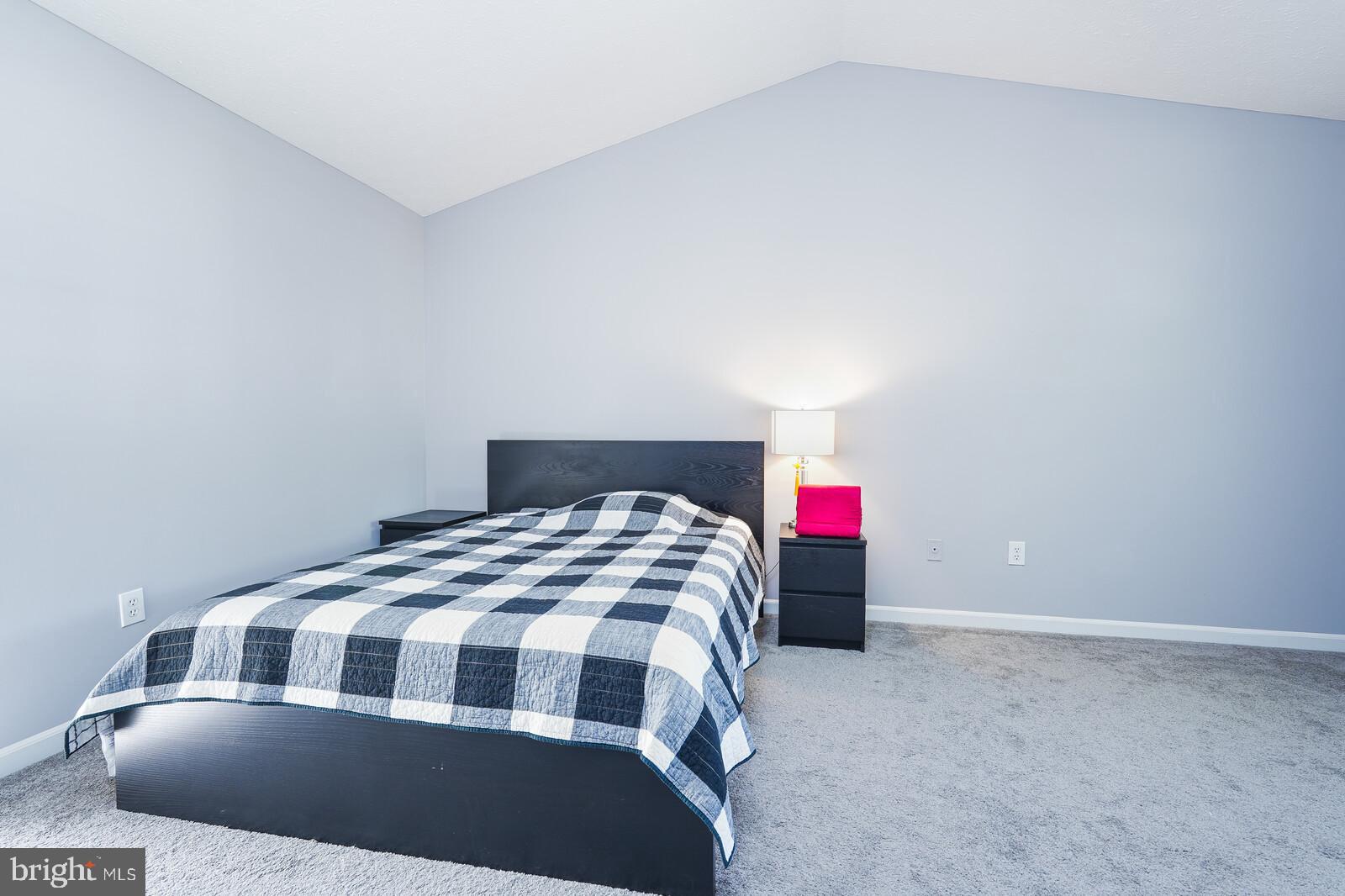 MINERAL SPRING VILLAGE - Residential