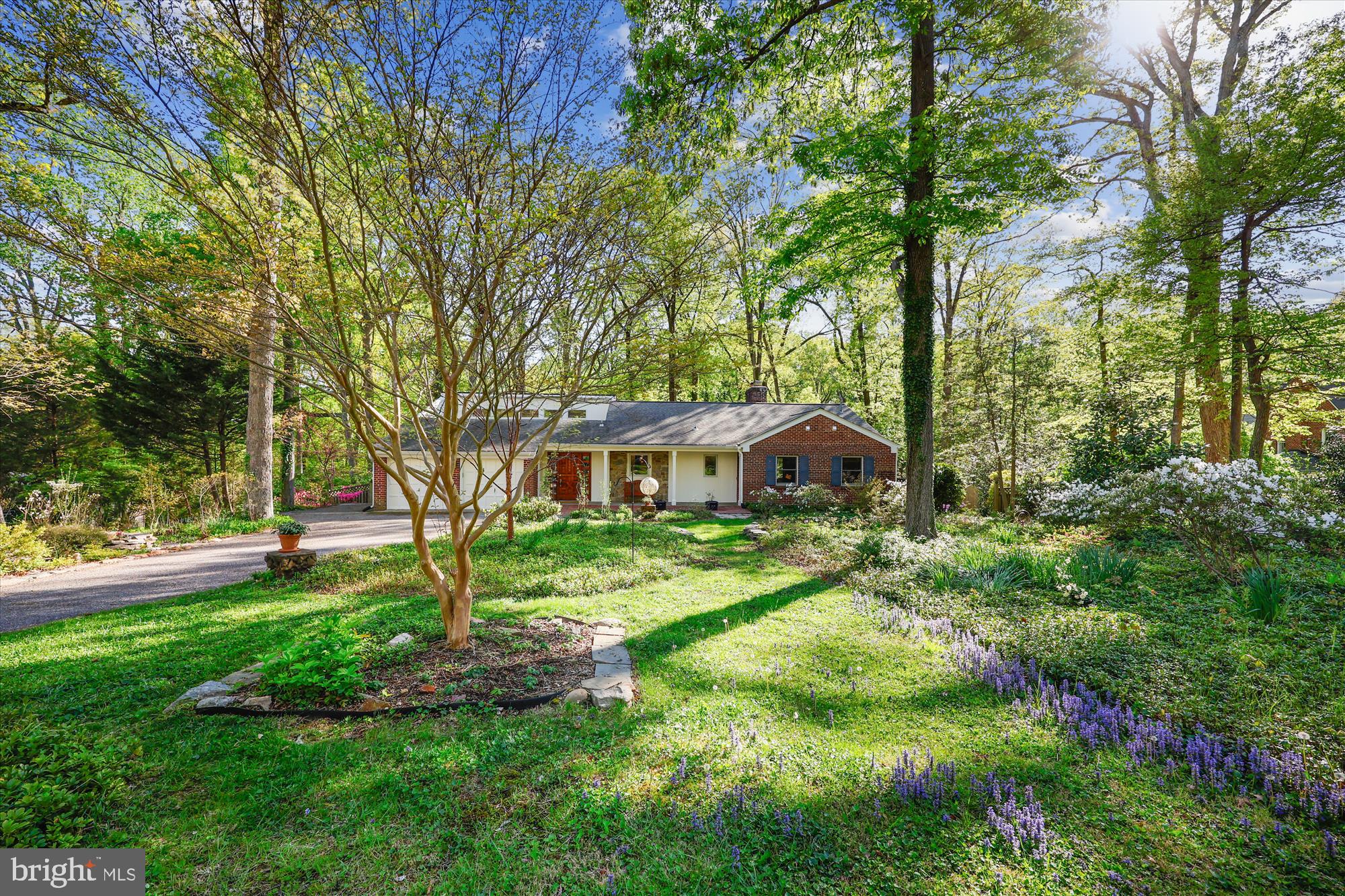 Open House Saturday, May 3rd, 1-3. Welcome home to your own personal garden oasis and wooded parkland!!  This 5 bedroom, 3.5 bath expanded raised rambler with almost 3800 square feet of living space is situated on a beautifully landscaped, private, three quarter acre lot in Old Hillandale.   The remodeled gourmet kitchen has cherry cabinets, granite countertops, a unique custom designed tile backsplash, two ovens and two sinks. A delight for any home chef! The easy flow open floor plan creates the perfect space for indoor and outdoor entertaining.  The upper level great room with a vaulted ceiling and Casablanca fans is bathed in natural light by the wall of windows from which you can enjoy the mature azaleas and other plantings in the backyard.  The living room has a stone fireplace which is the perfect spot to cozy up to in winter.  The dining room, living room and great room boast gleaming hardwood floors and access to the deck on the back of the house overlooking the expansive, landscaped backyard, woods and creek beyond.  It’s the perfect spot for morning coffee or evening wine. Once on the deck you’ll see two more decks within the garden and a horseshoe shaped walkway through the azaleas. Three bedrooms, a full bath with hand-made tile, powder room and two car garage complete the upper level.  The lower level is just as impressive as the upper level and is home to two more bedrooms, both with en-suite bathrooms, a family room with a second fireplace, laundry and storage.   The fifth bedroom, with it’s own wonderful views of the sweeping backyard, could also be used as a rec room or home office.   Additional features include: dual zone heating/ac, separate water gauge for outside watering and two cedar lined closets.  Recent improvements:   New washer/dryer 2021, New 30 year roof in 2018,  New exterior A/C unit 2018.  Convenient to The University of Maryland, FDA, 495/95, the new White Oak Town Center with Amazon Fresh, restaurants and shopping.