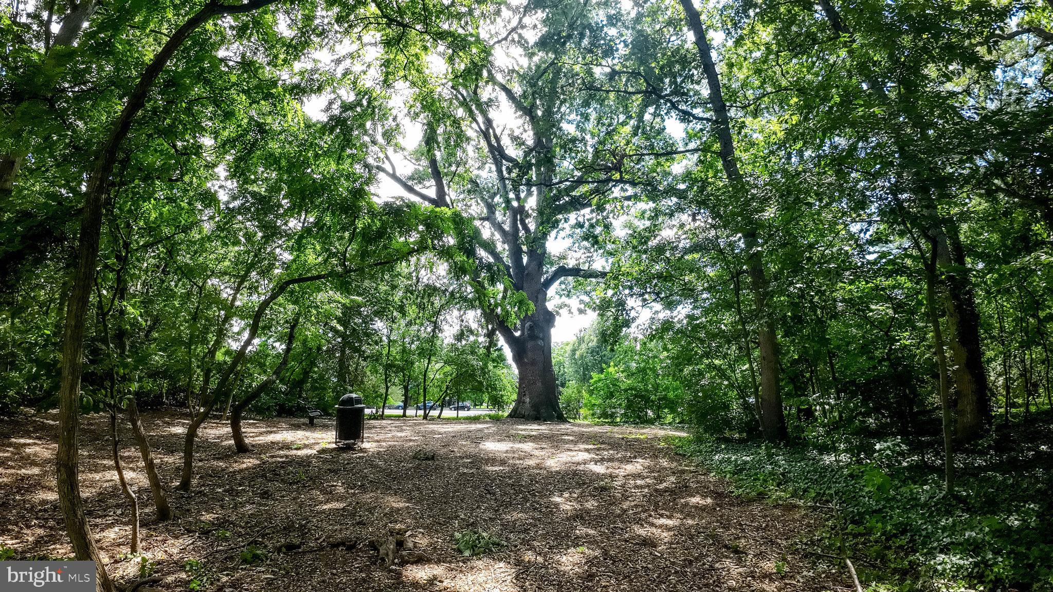 GREAT OAK - Residential