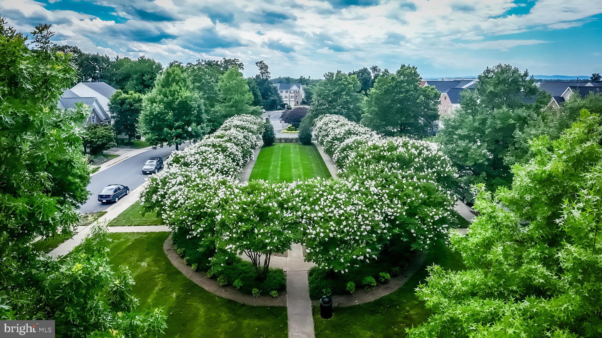 GREAT OAK - Residential